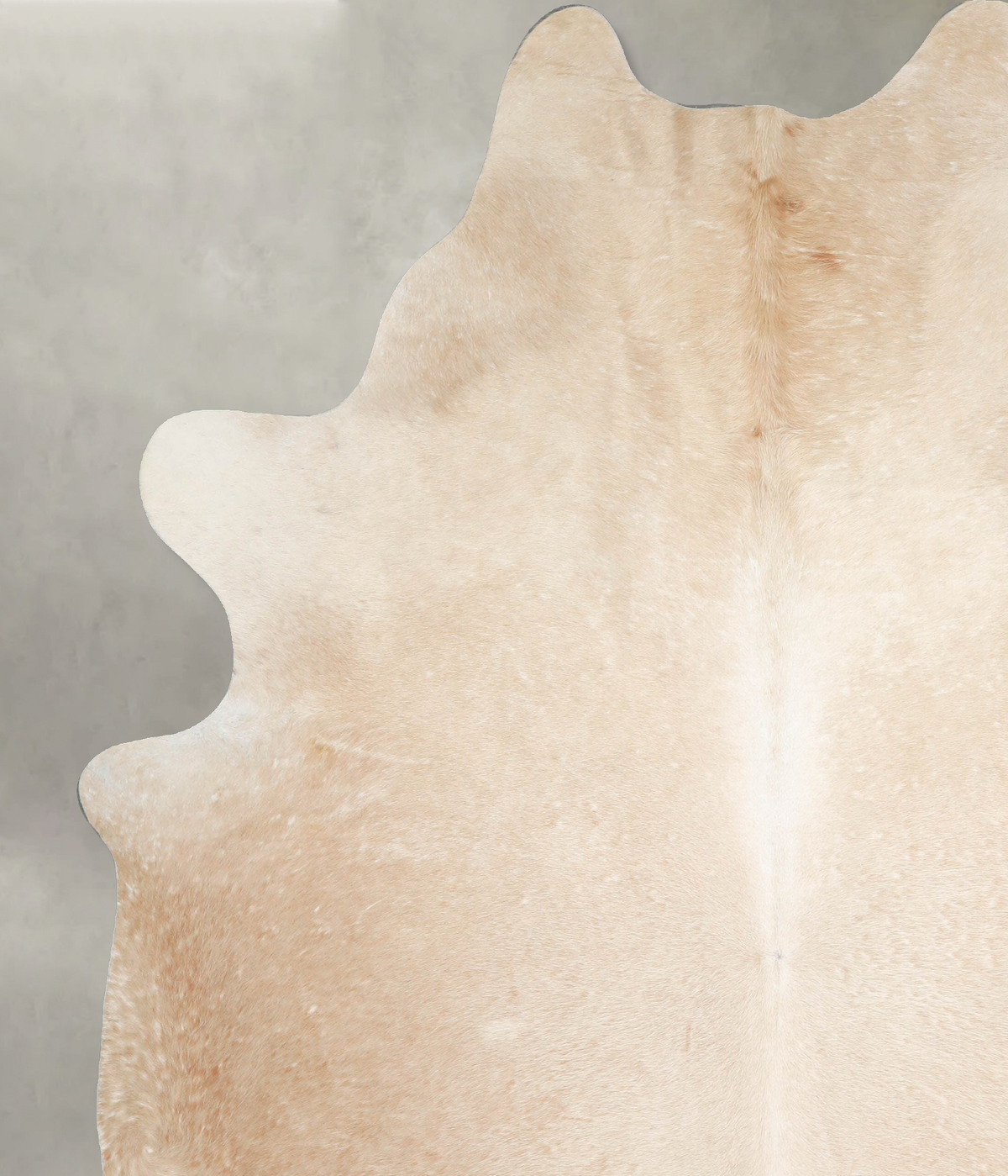 Palomino XX-Large Brazilian Cowhide Rug 8'5"H x 6'10"W #A55240 by Hudson Hides