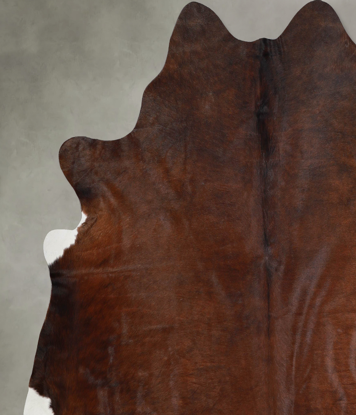 Warm Caramel X-Large Brazilian Cowhide Rug 6'10"H x 7'2"W #A55250 by Hudson Hides