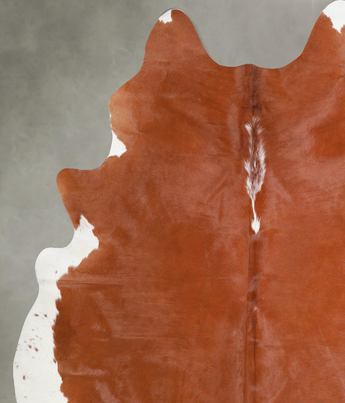 Brown and White Regular XX-Large Brazilian Cowhide Rug 7'6"H x 6'9"W #A55251 by Hudson Hides