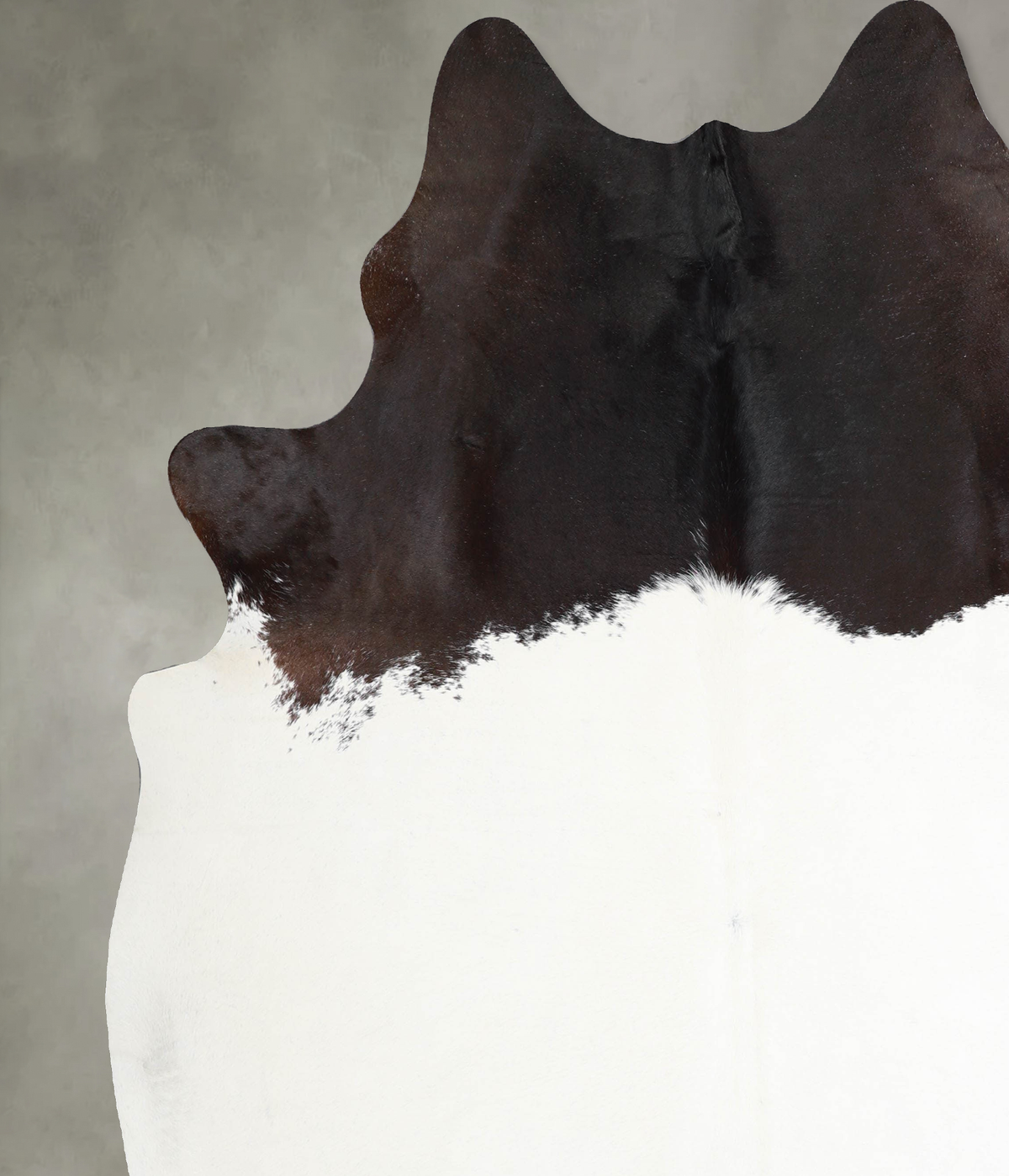Chocolate and White XX-Large Brazilian Cowhide Rug 7'10"H x 7'1"W #A55257 by Hudson Hides