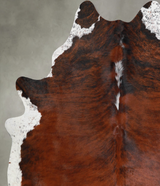 Medium Brindle X-Large Brazilian Cowhide Rug 7'5"H x 6'2"W #A55259 by Hudson Hides