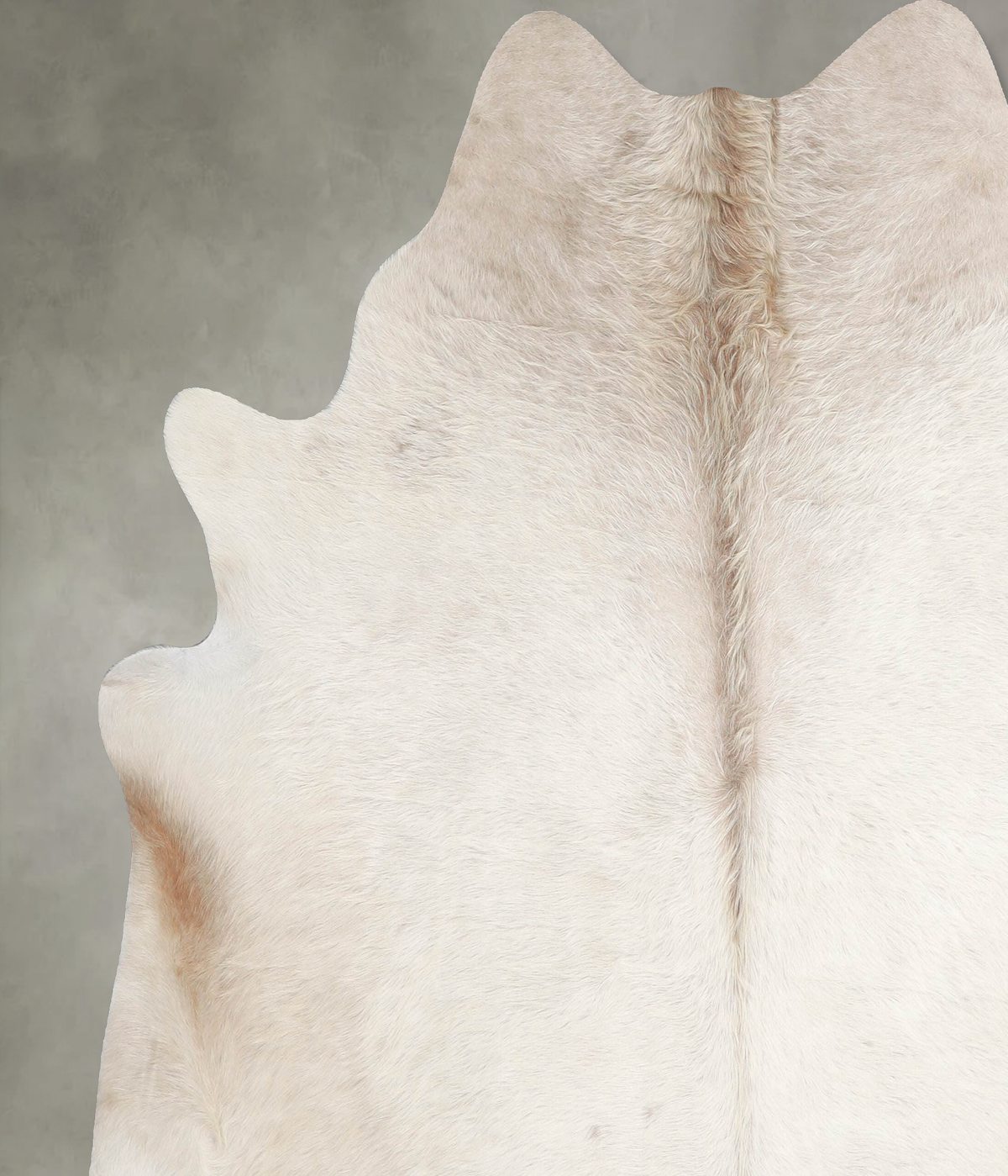 Champagne X-Large Brazilian Cowhide Rug 6'10"H x 6'10"W #A55265 by Hudson Hides