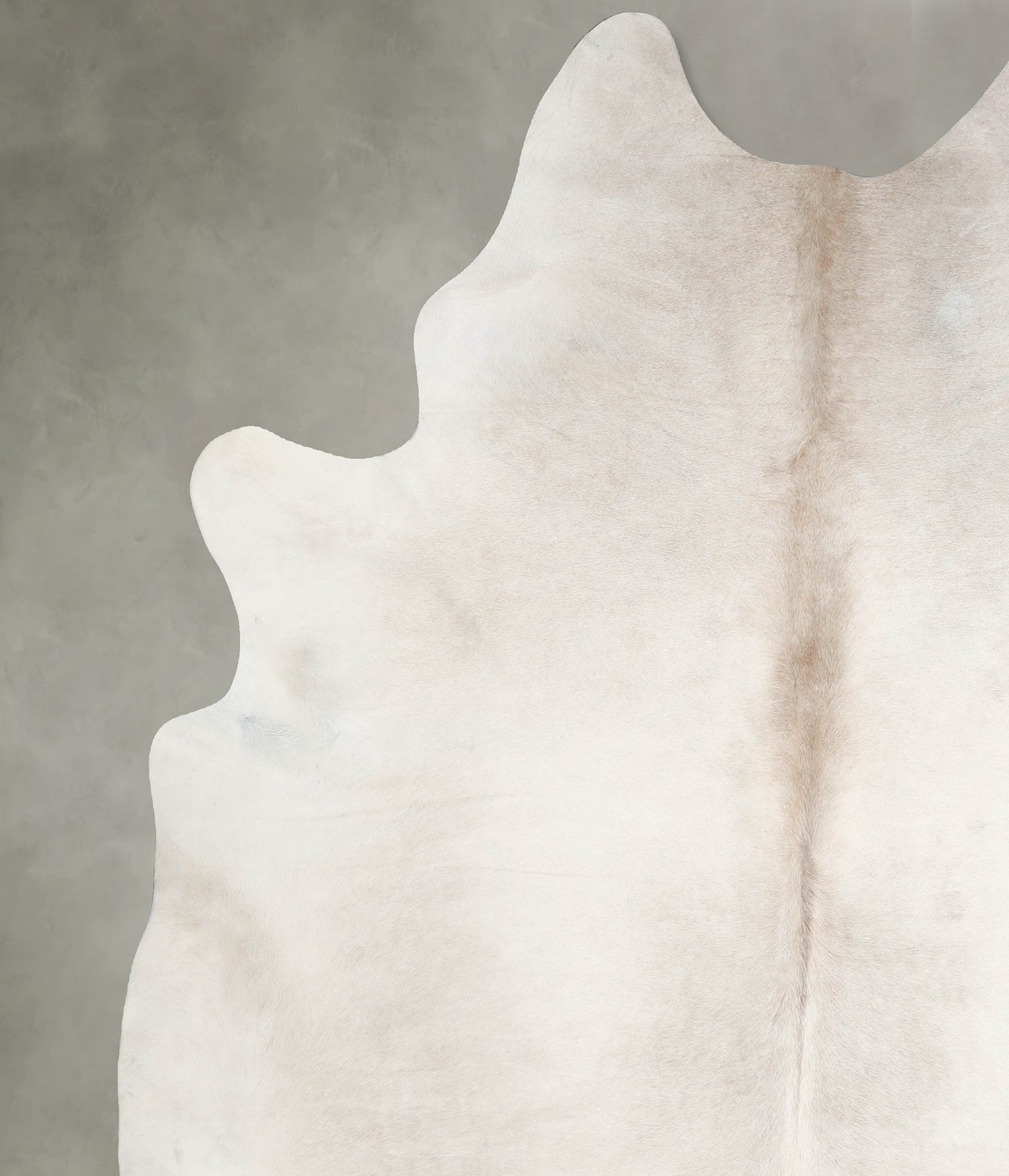Champagne XX-Large Brazilian Cowhide Rug 8'0"H x 7'0"W #A55267 by Hudson Hides