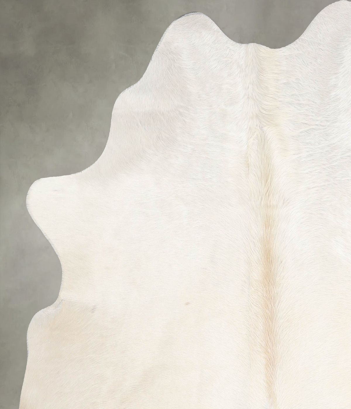 Solid White Large Brazilian Cowhide Rug 5'10"H x 5'7"W #A55273 by Hudson Hides