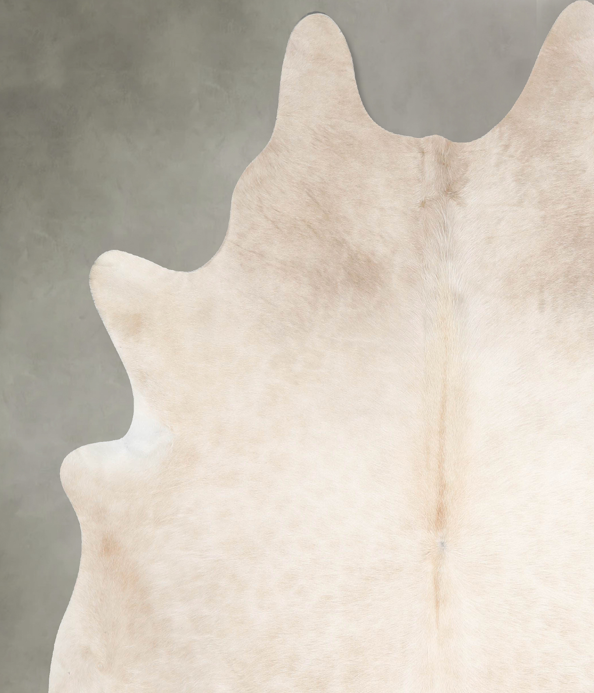 Champagne X-Large Brazilian Cowhide Rug 6'11"H x 6'5"W #A55274 by Hudson Hides