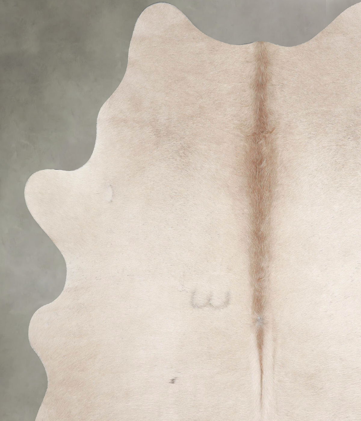 Champagne Large Brazilian Cowhide Rug 6'7"H x 6'0"W #A55276 by Hudson Hides