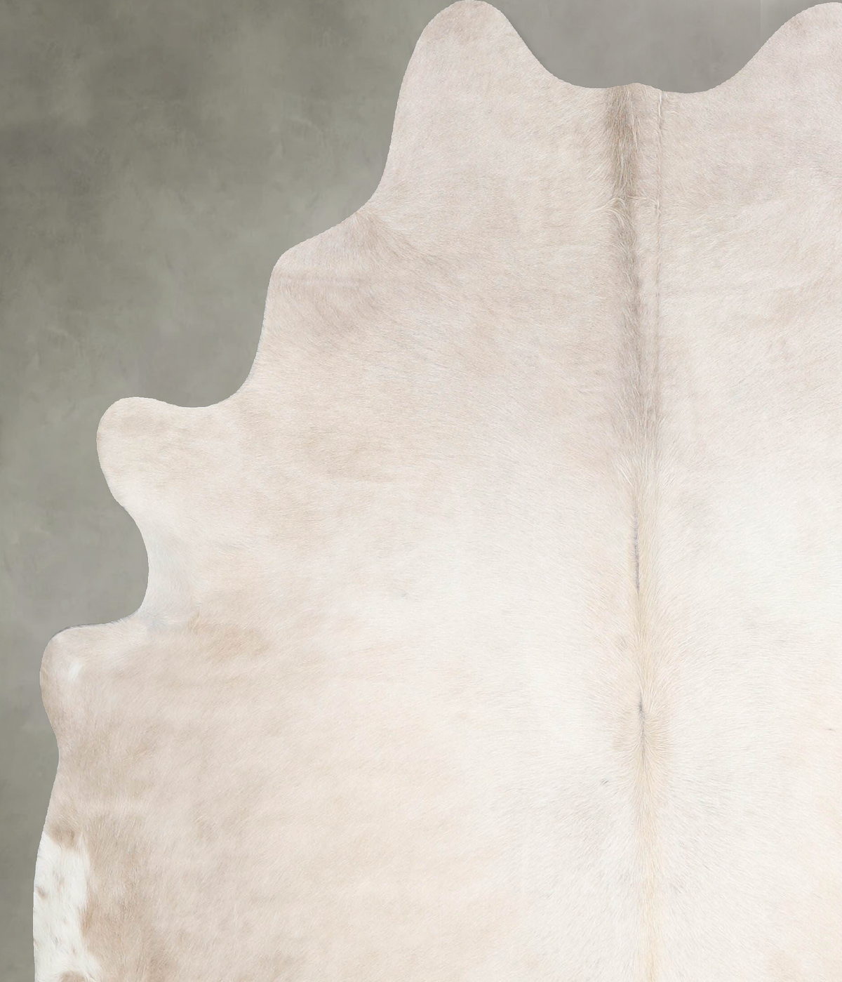 Champagne Large Brazilian Cowhide Rug 6'8"H x 5'10"W #A55277 by Hudson Hides