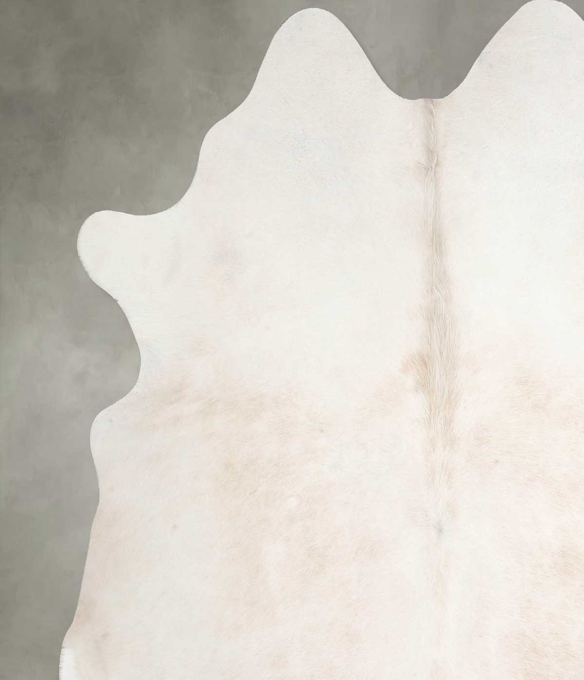 Champagne X-Large Brazilian Cowhide Rug 7'4"H x 6'7"W #A55283 by Hudson Hides