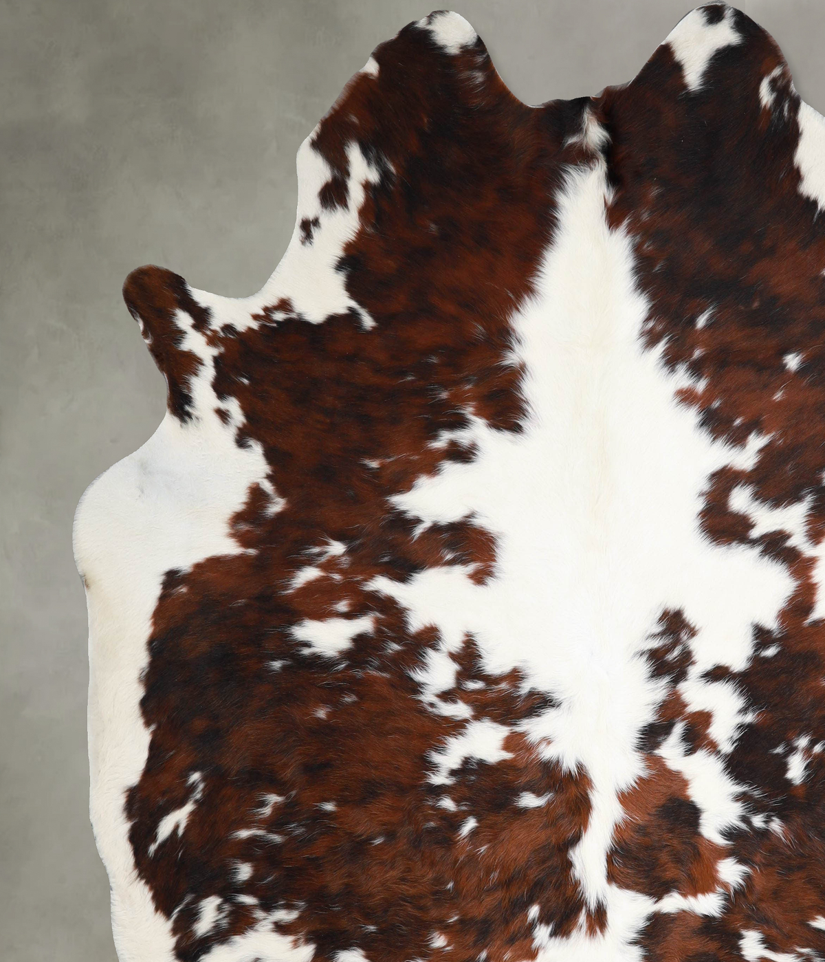 Tricolor XX-Large Brazilian Cowhide Rug 8'1"H x 7'3"W #A55285 by Hudson Hides