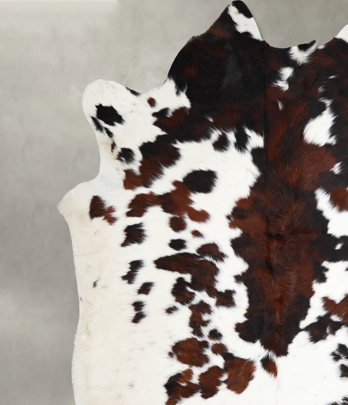 Tricolor XX-Large Brazilian Cowhide Rug 8'1"H x 7'6"W #A55286 by Hudson Hides