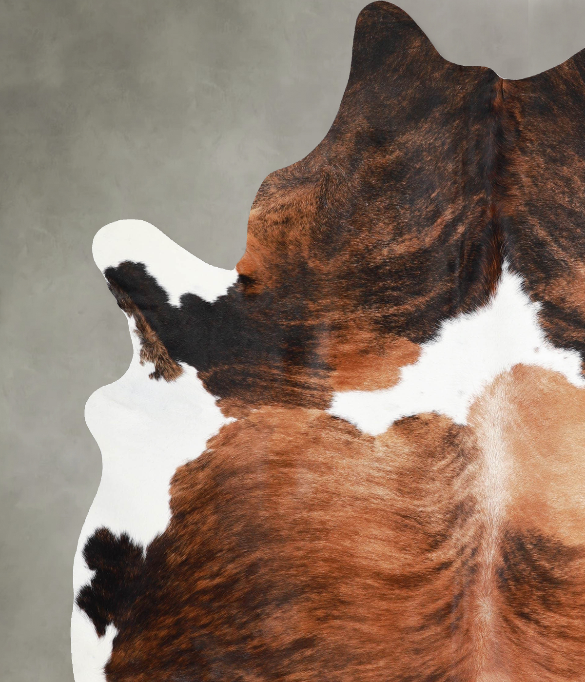 Tricolor X-Large Brazilian Cowhide Rug 7'8"H x 5'11"W #A55287 by Hudson Hides