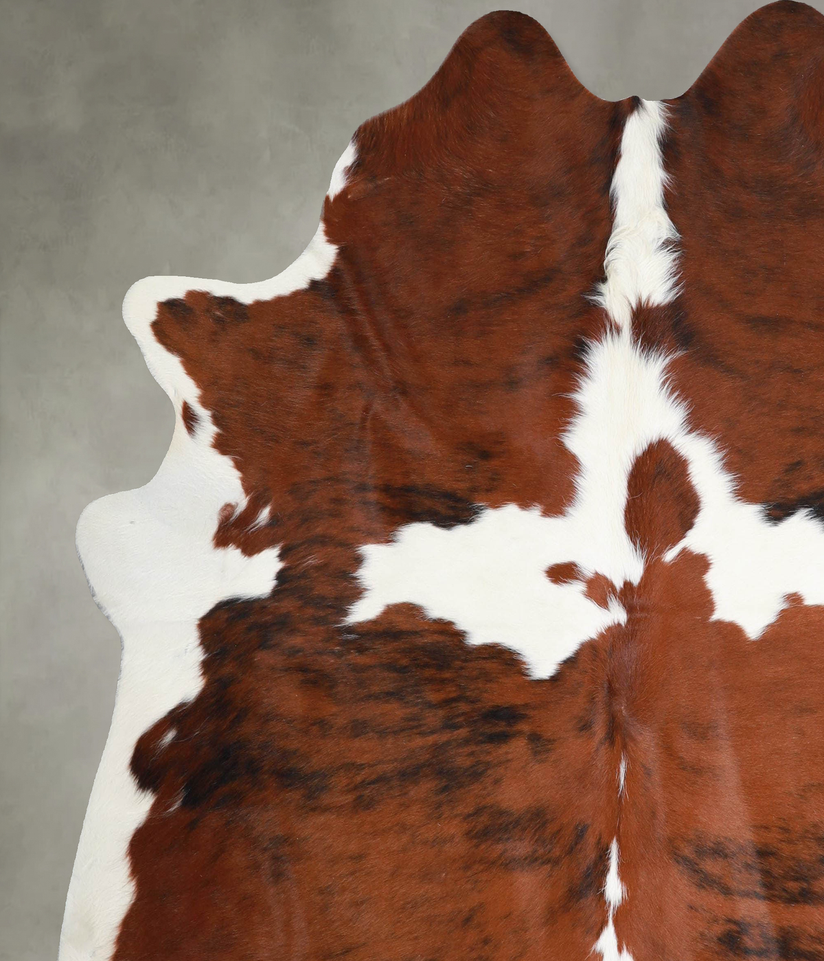 Tricolor X-Large Brazilian Cowhide Rug 6'8"H x 6'3"W #A55291 by Hudson Hides