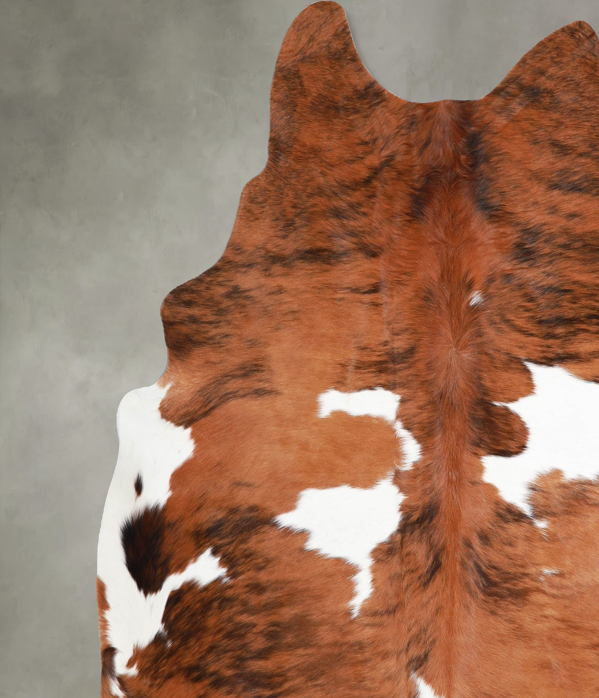 Tricolor XX-Large Brazilian Cowhide Rug 7'4"H x 6'10"W #A55292 by Hudson Hides