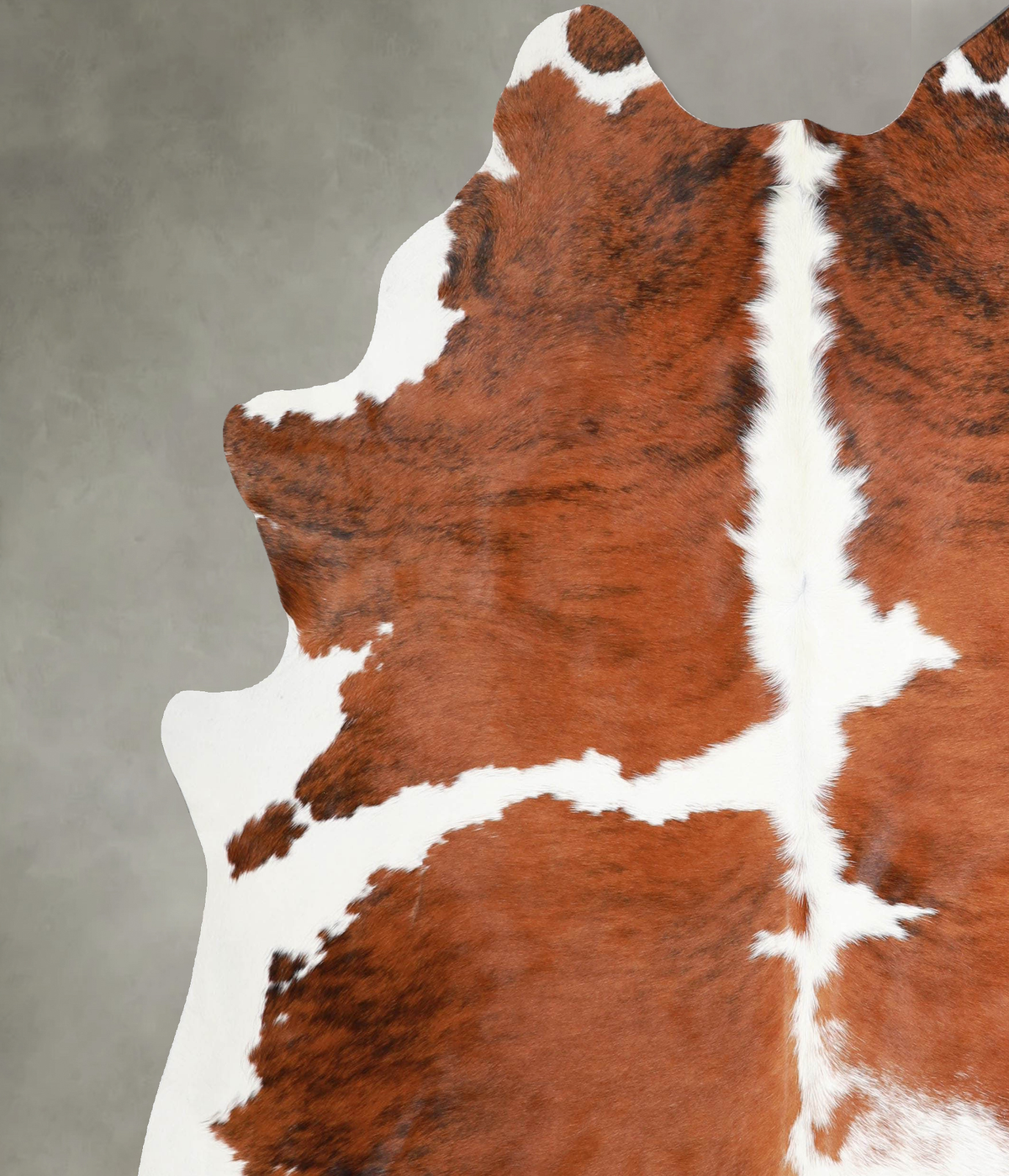 Tricolor X-Large Brazilian Cowhide Rug 7'6"H x 6'7"W #A55293 by Hudson Hides