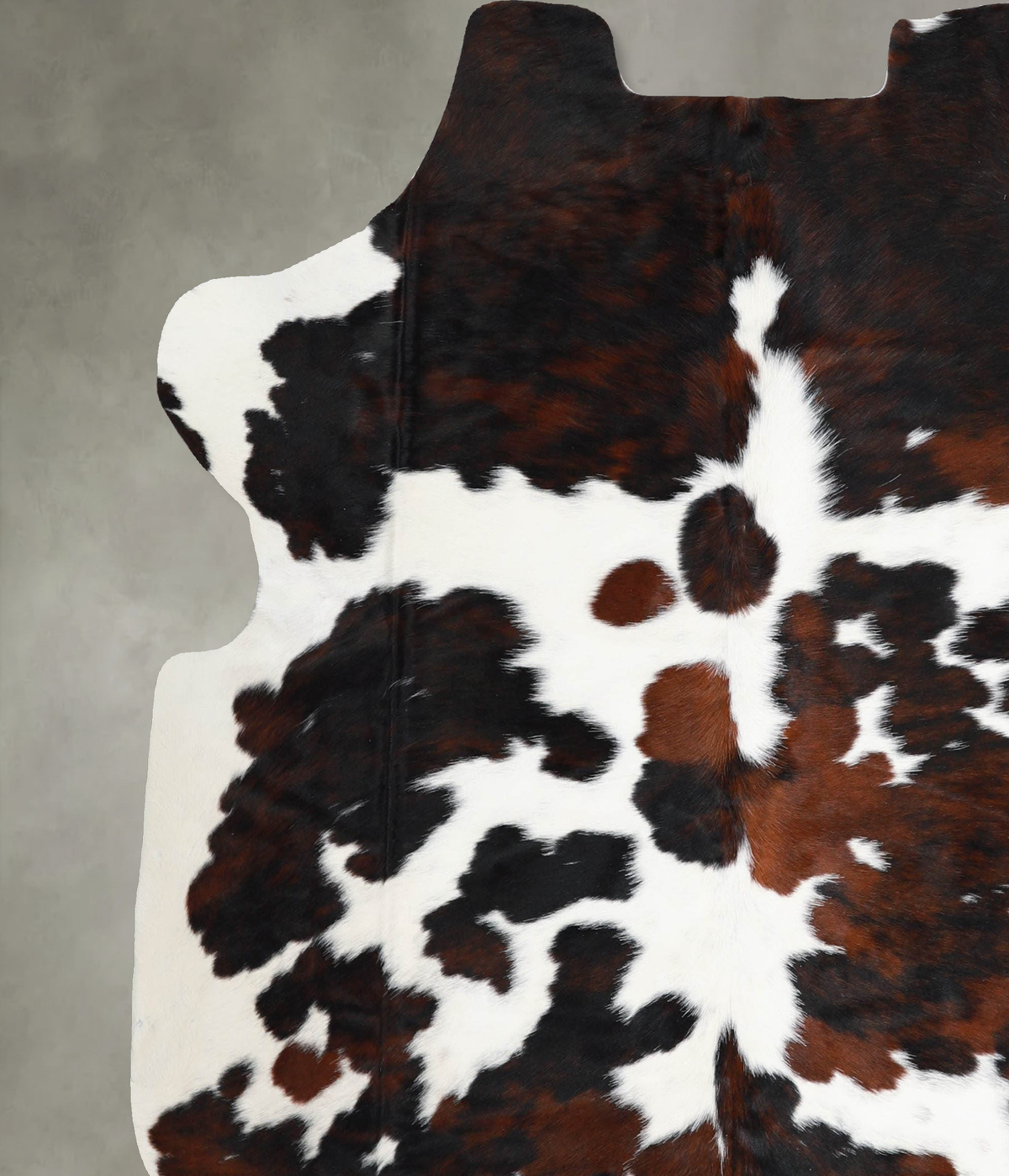 Tricolor X-Large Brazilian Cowhide Rug 6'6"H x 6'2"W #A55298 by Hudson Hides