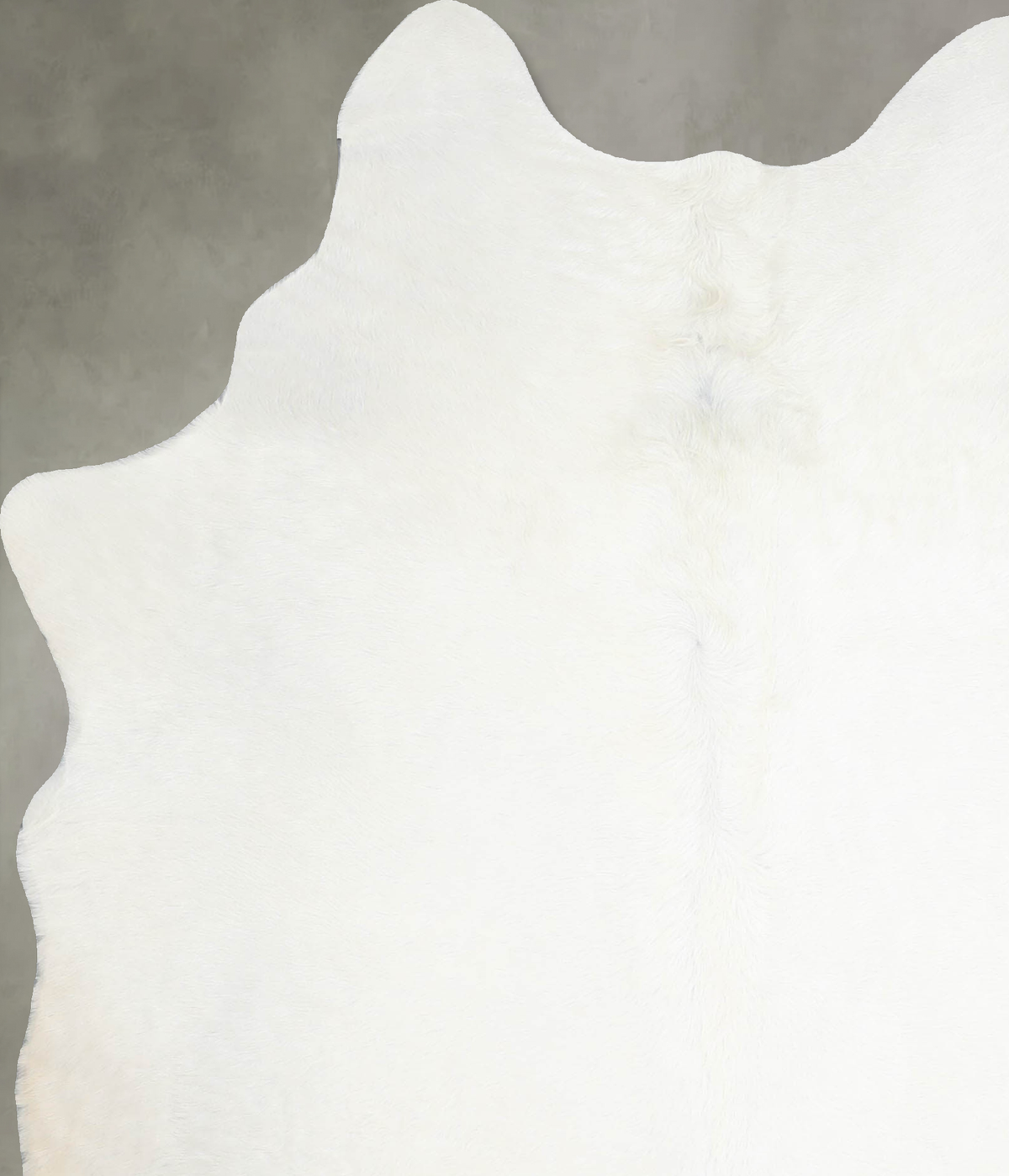 Solid White Large Brazilian Cowhide Rug 6'8"H x 5'0"W #A55299 by Hudson Hides