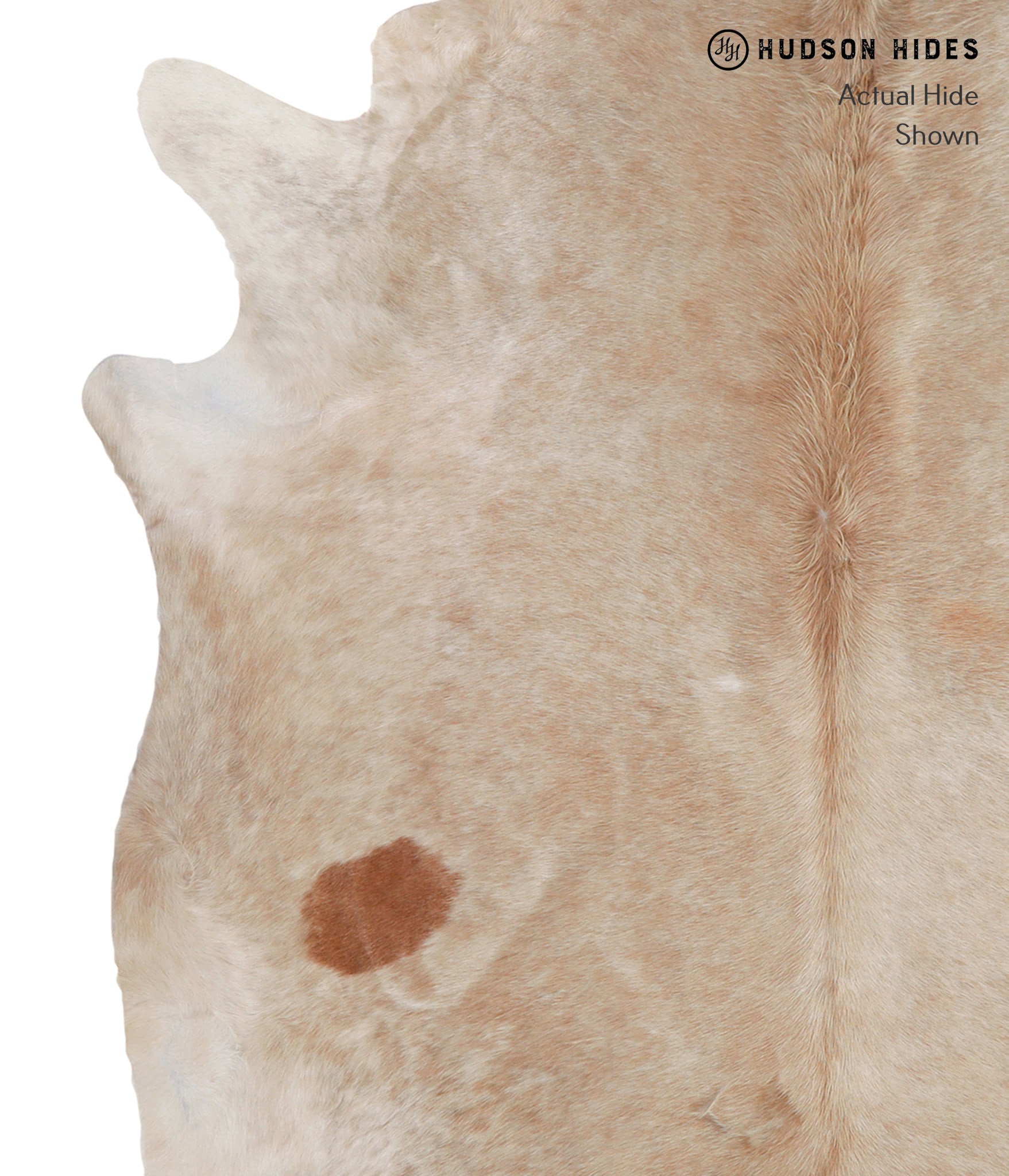 Beige Cowhide Rug #A5530