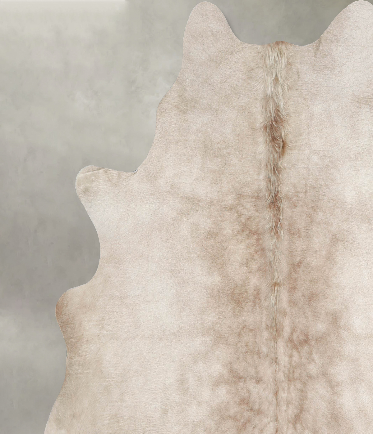 Champagne X-Large Brazilian Cowhide Rug 6'8"H x 6'6"W #A55308 by Hudson Hides