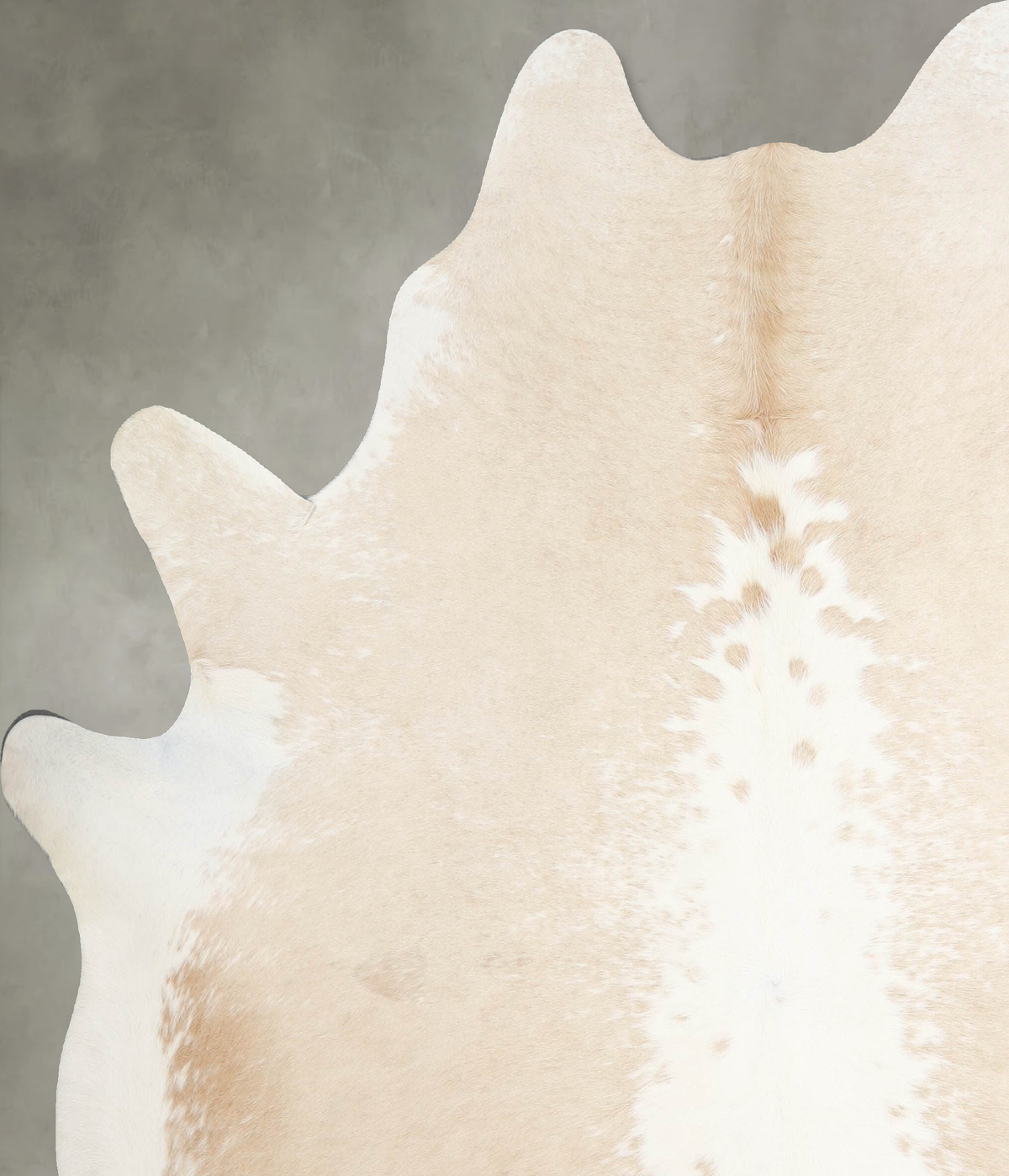 Beige and White X-Large Brazilian Cowhide Rug 7'2"H x 6'3"W #A55325 by Hudson Hides