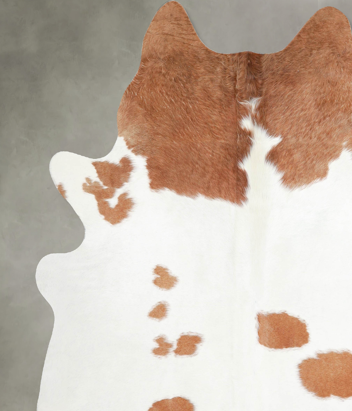Brown and White X-Large Brazilian Cowhide Rug 7'1"H x 6'3"W #A55327 by Hudson Hides