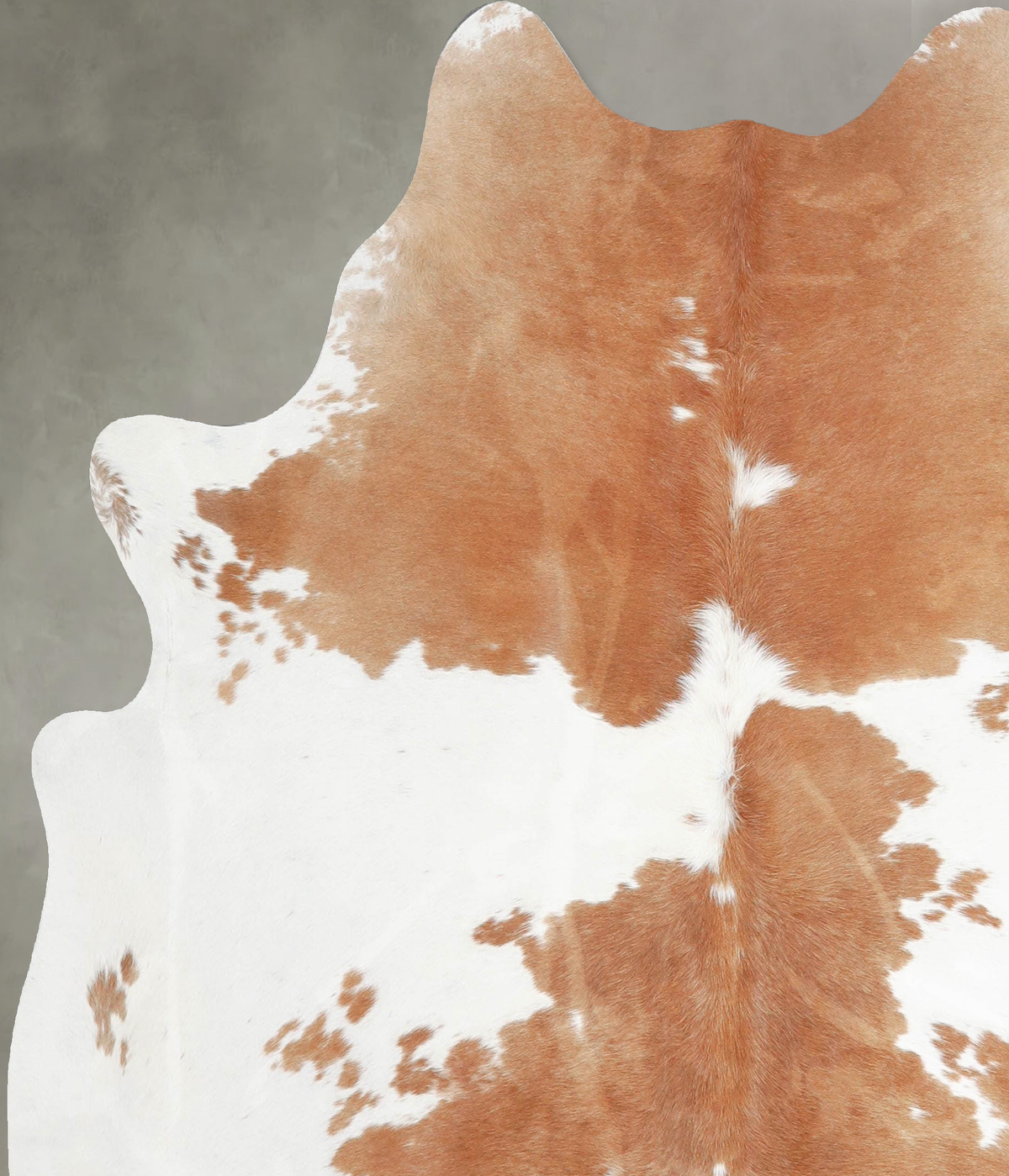 Beige and White Large Brazilian Cowhide Rug 6'7"H x 5'9"W #A55329 by Hudson Hides