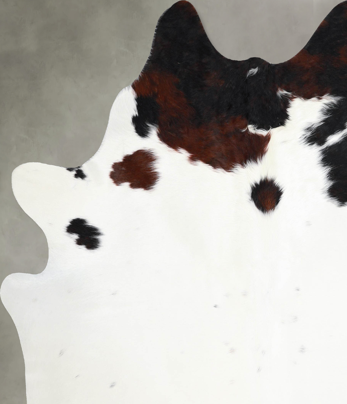 Tricolor Large Brazilian Cowhide Rug 6'5"H x 5'7"W #A55333 by Hudson Hides