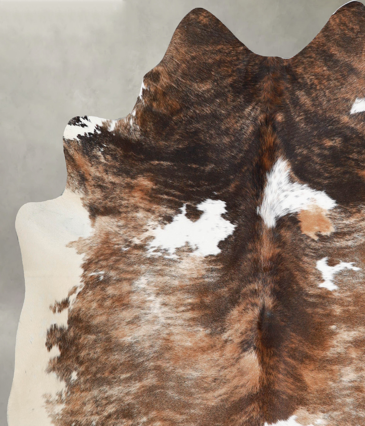 Tricolor X-Large Brazilian Cowhide Rug 6'9"H x 6'1"W #A55334 by Hudson Hides