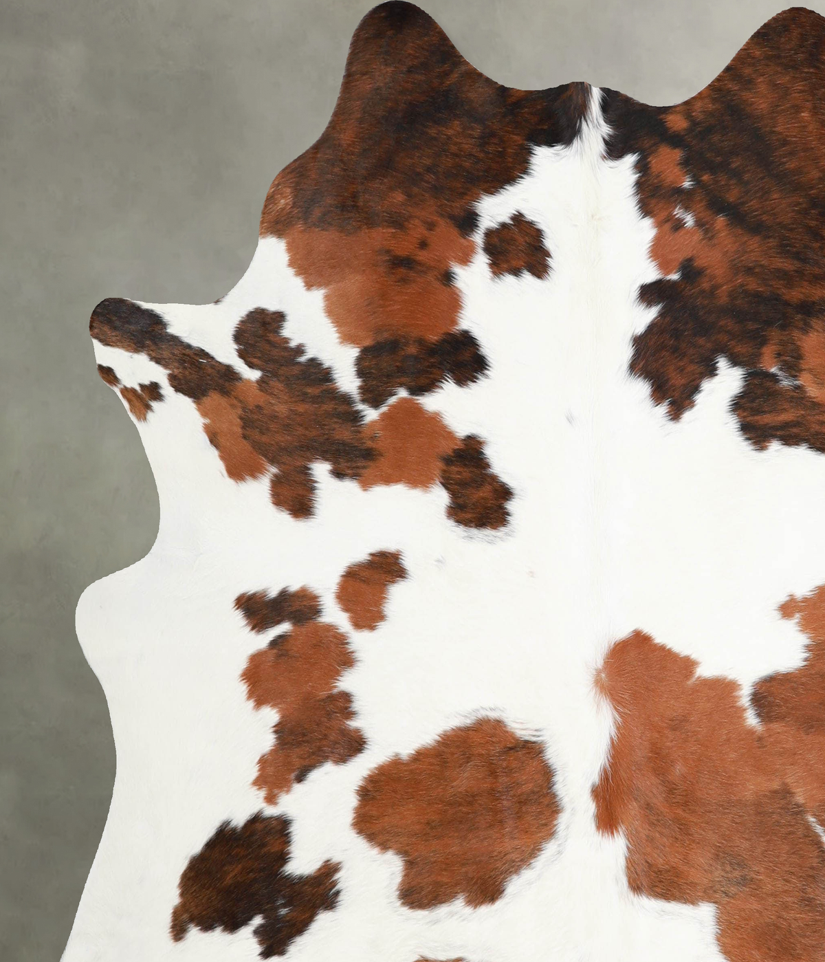 Tricolor Large Brazilian Cowhide Rug 6'4"H x 6'4"W #A55335 by Hudson Hides
