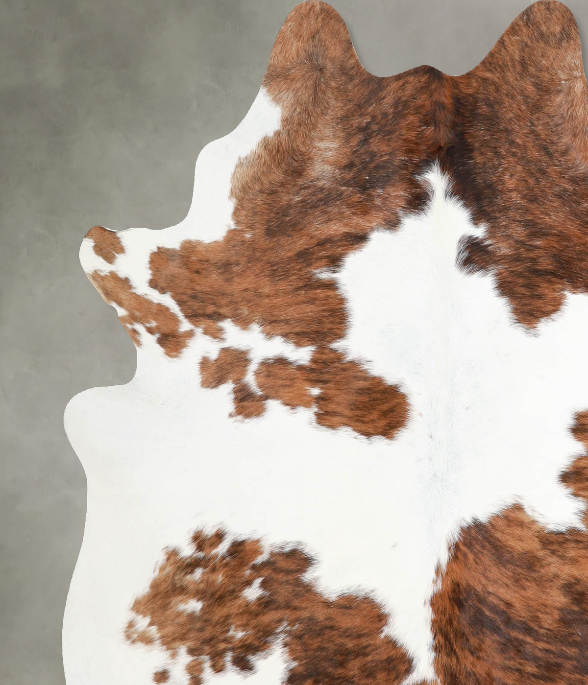 Tricolor X-Large Brazilian Cowhide Rug 6'11"H x 6'1"W #A55336 by Hudson Hides