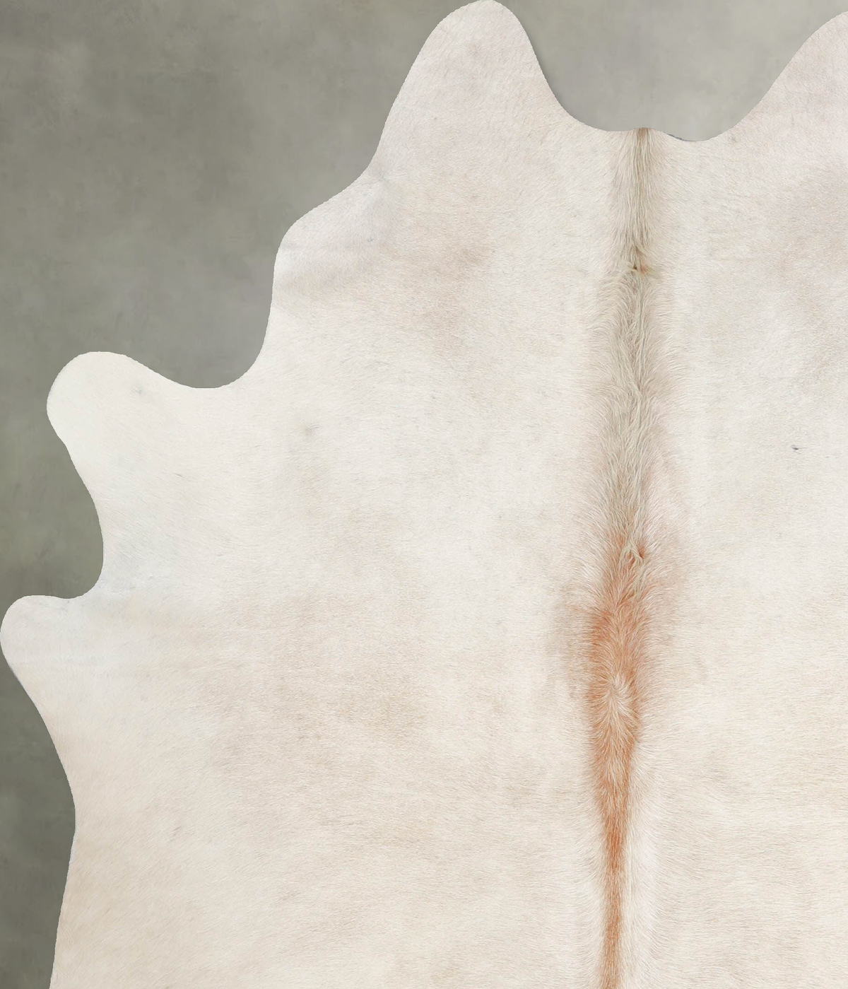 Champagne Large Brazilian Cowhide Rug 6'7"H x 5'8"W #A55342 by Hudson Hides
