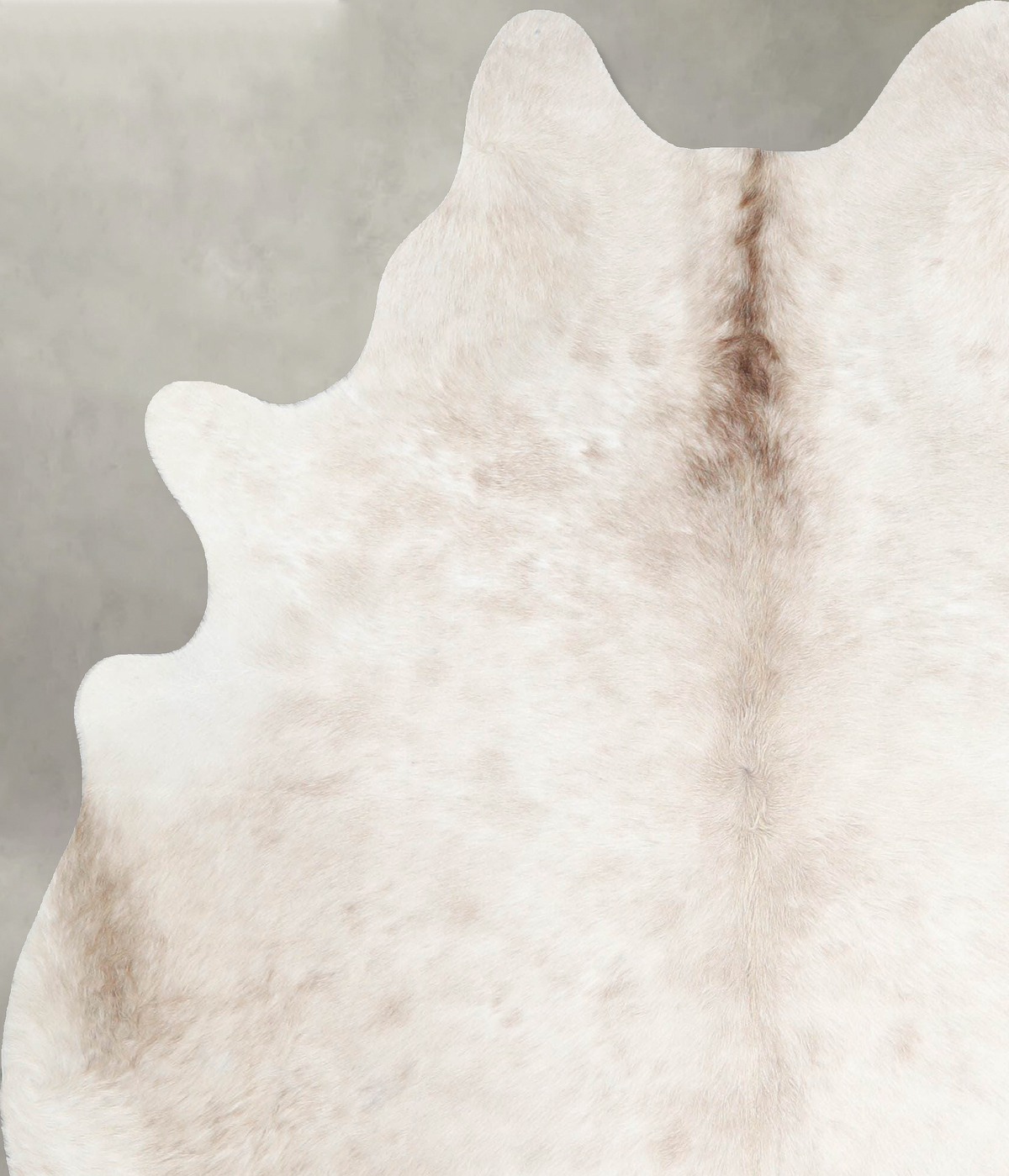 Champagne Large Brazilian Cowhide Rug 6'3"H x 5'3"W #A55343 by Hudson Hides