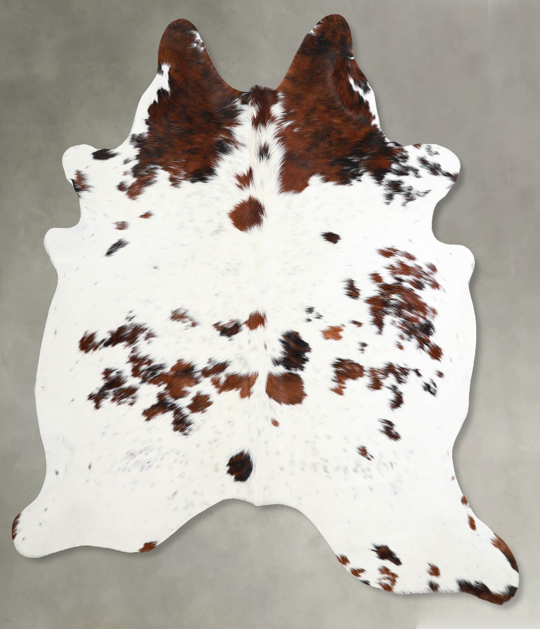 Tricolor Cowhide Rug #A55348