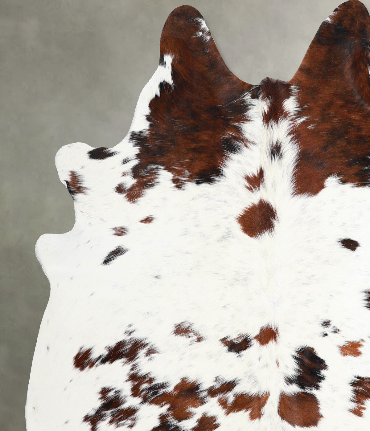 Tricolor Large Brazilian Cowhide Rug 6'5"H x 5'11"W #A55348 by Hudson Hides