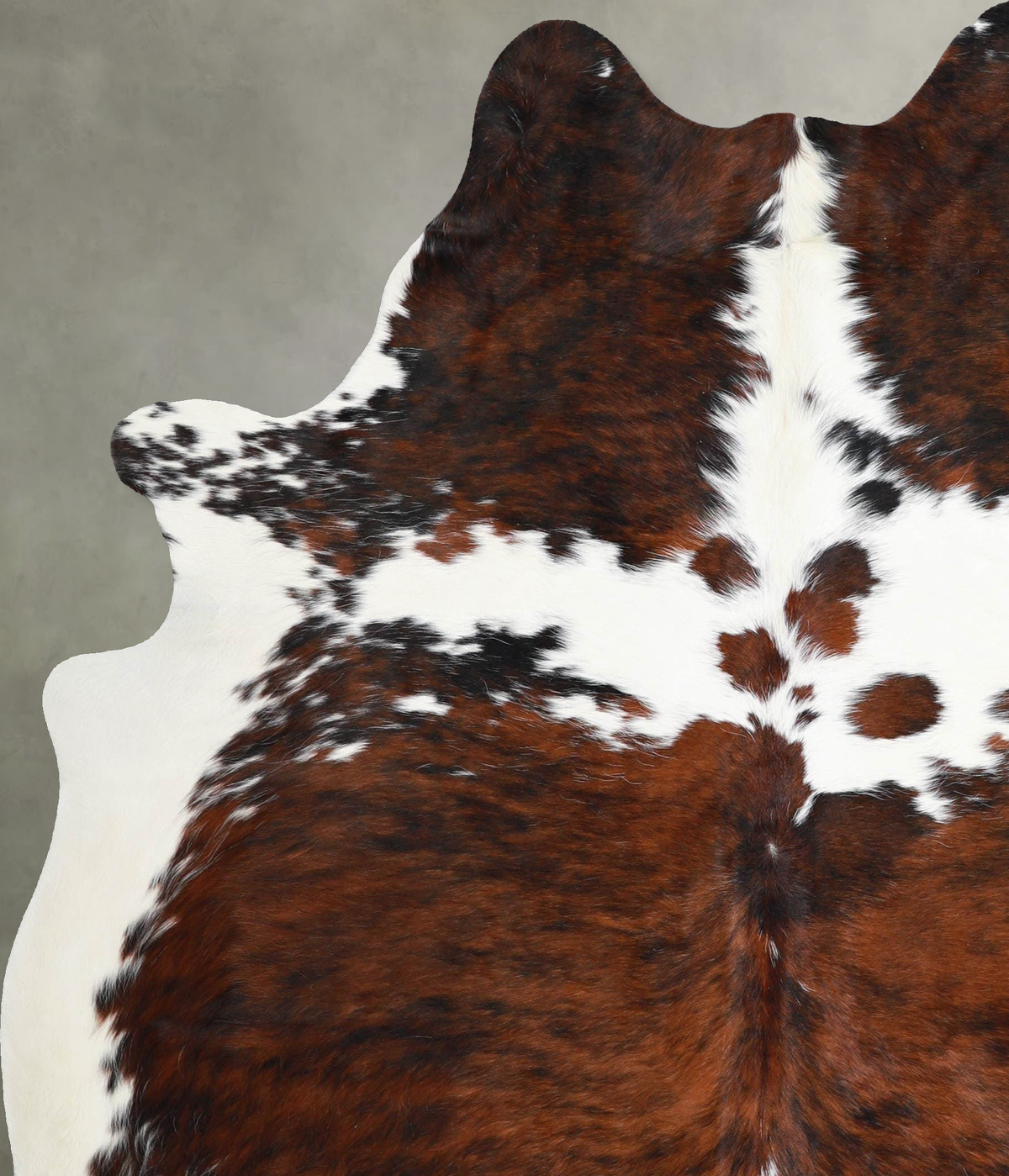 Tricolor Large Brazilian Cowhide Rug 6'11"H x 5'7"W #A55350 by Hudson Hides
