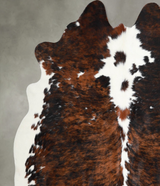 Tricolor Large Brazilian Cowhide Rug 6'4"H x 6'1"W #A55352 by Hudson Hides