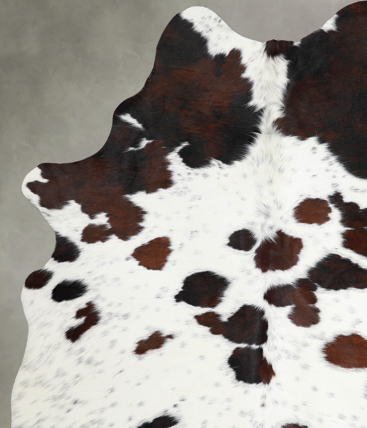 Tricolor Large Brazilian Cowhide Rug 6'11"H x 5'3"W #A55353 by Hudson Hides