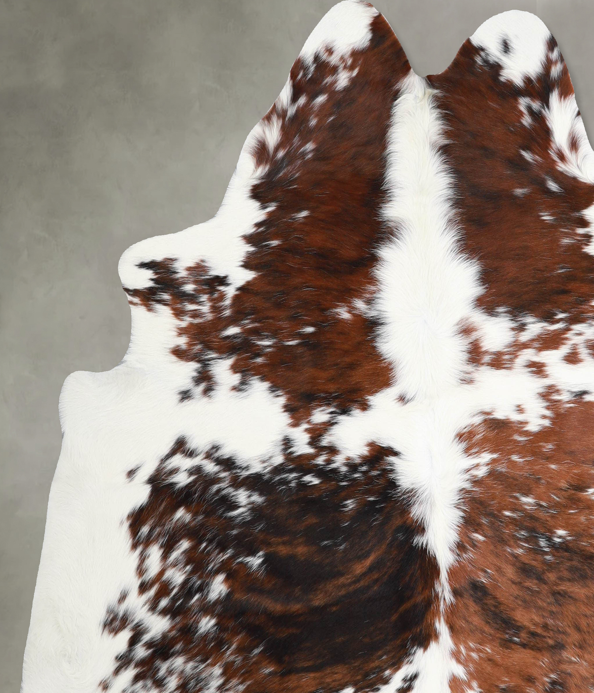 Tricolor X-Large Brazilian Cowhide Rug 6'8"H x 6'4"W #A55356 by Hudson Hides