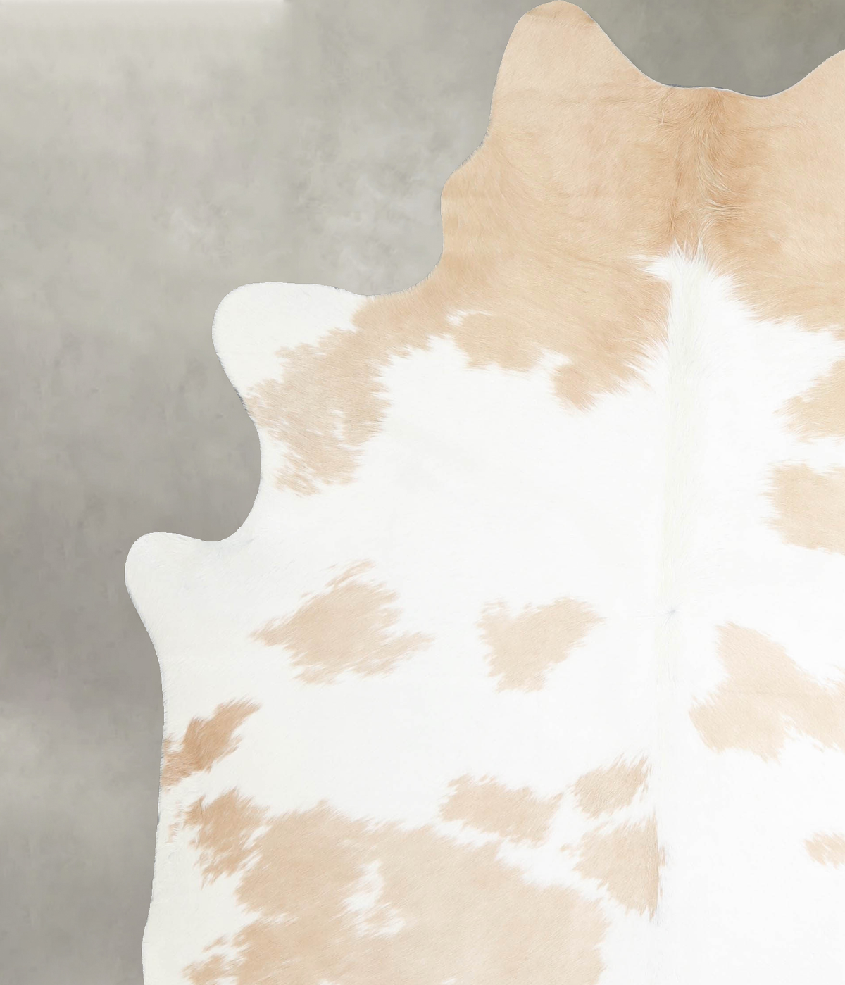 Beige and White X-Large Brazilian Cowhide Rug 7'2"H x 5'11"W #A55363 by Hudson Hides