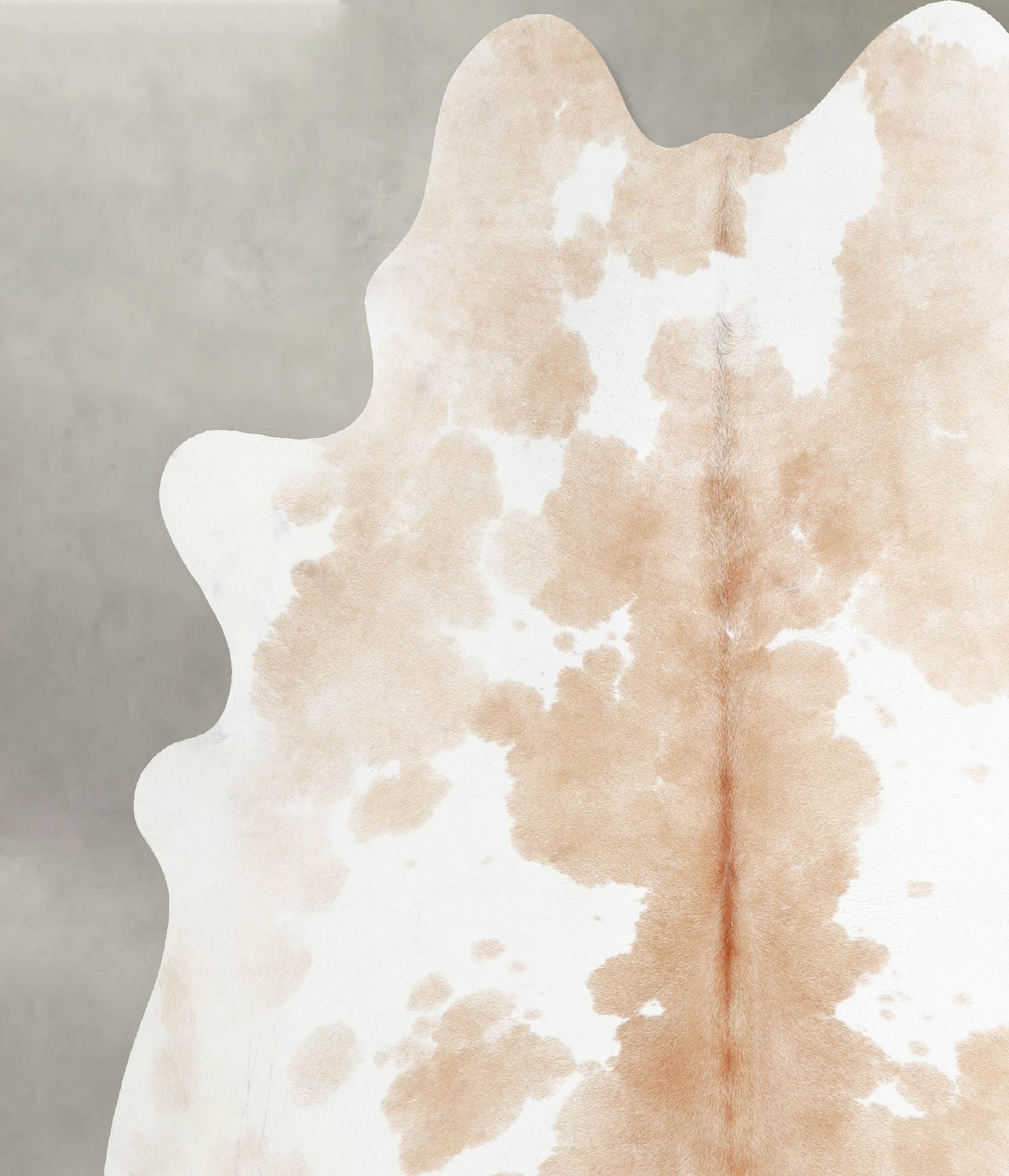 Beige and White X-Large Brazilian Cowhide Rug 6'5"H x 6'4"W #A55365 by Hudson Hides