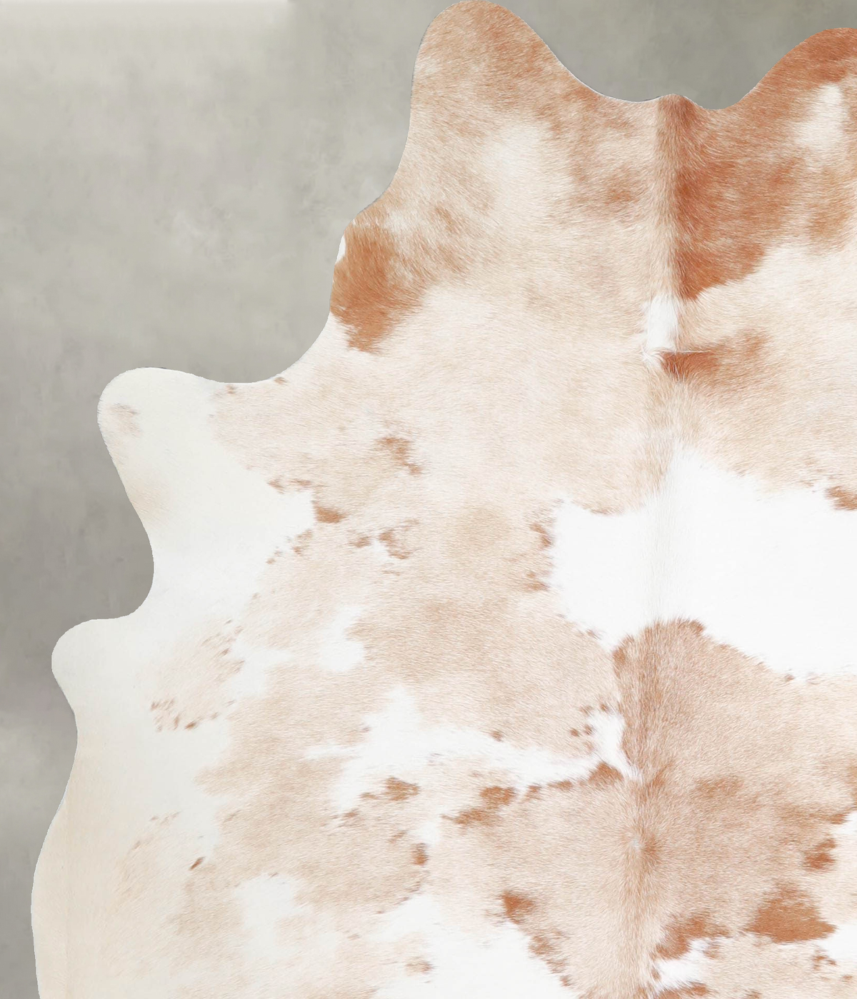 Beige and White Large Brazilian Cowhide Rug 6'4"H x 5'1"W #A55366 by Hudson Hides