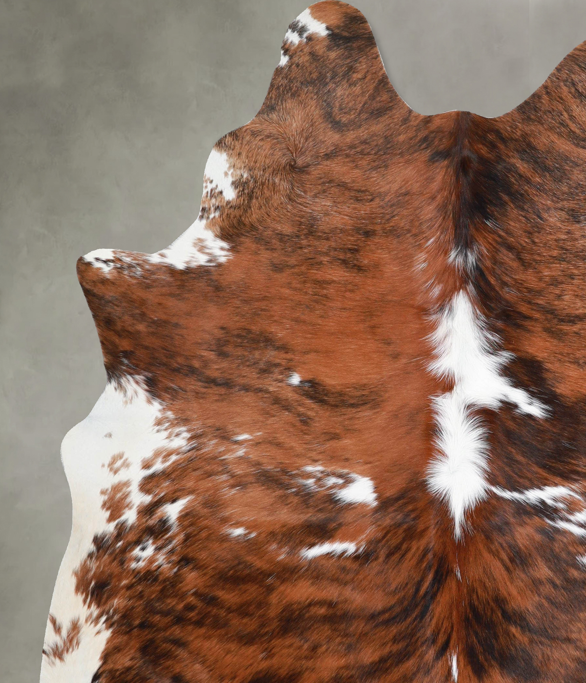 Tricolor X-Large Brazilian Cowhide Rug 7'3"H x 5'7"W #A55377 by Hudson Hides