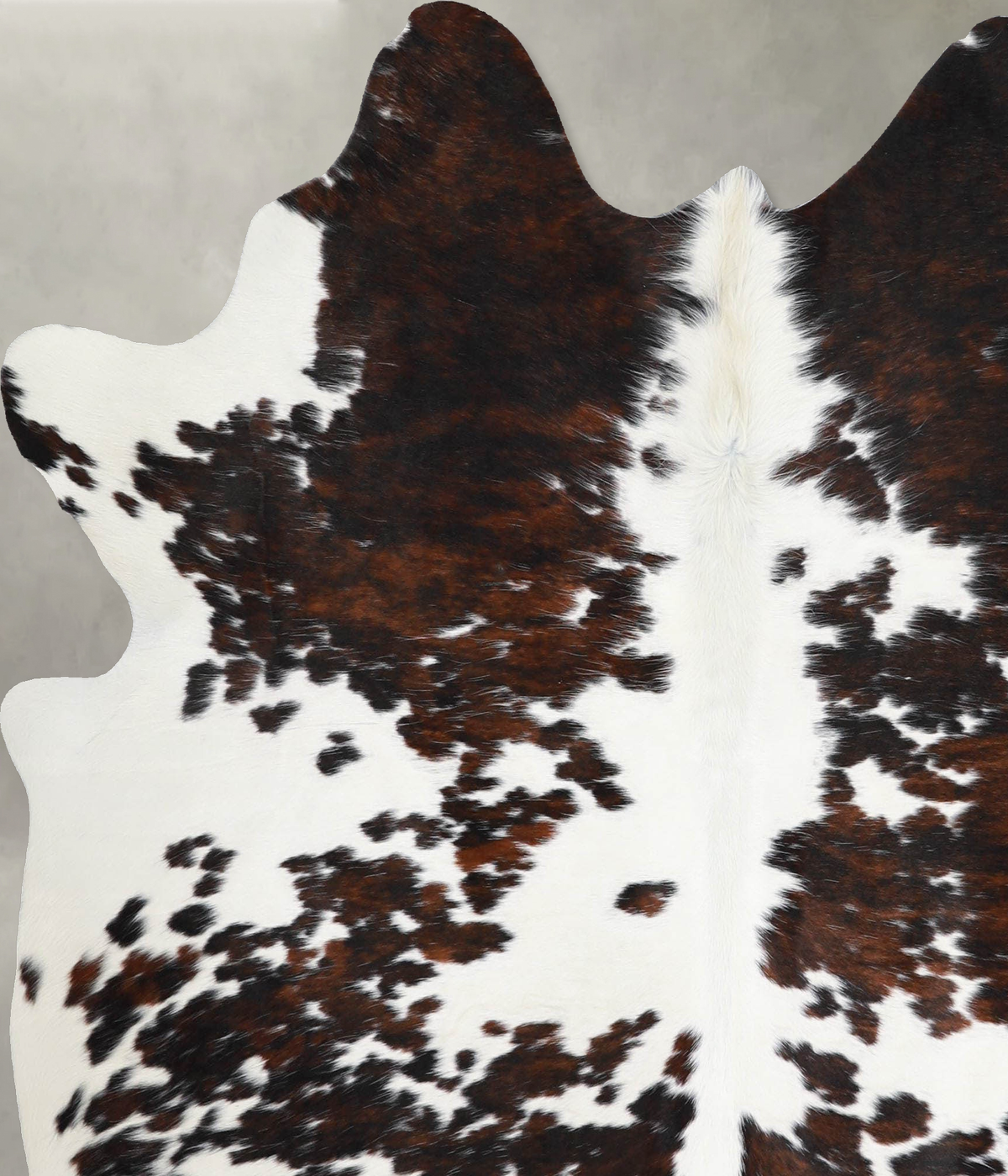 Tricolor Large Brazilian Cowhide Rug 6'1"H x 5'4"W #A55378 by Hudson Hides