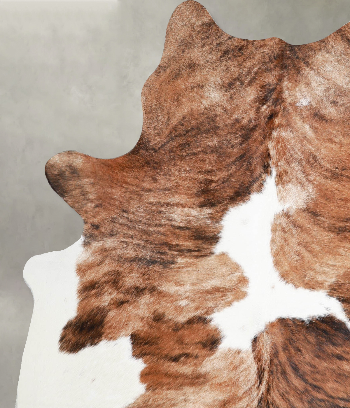 Tricolor Large Brazilian Cowhide Rug 6'10"H x 5'6"W #A55381 by Hudson Hides