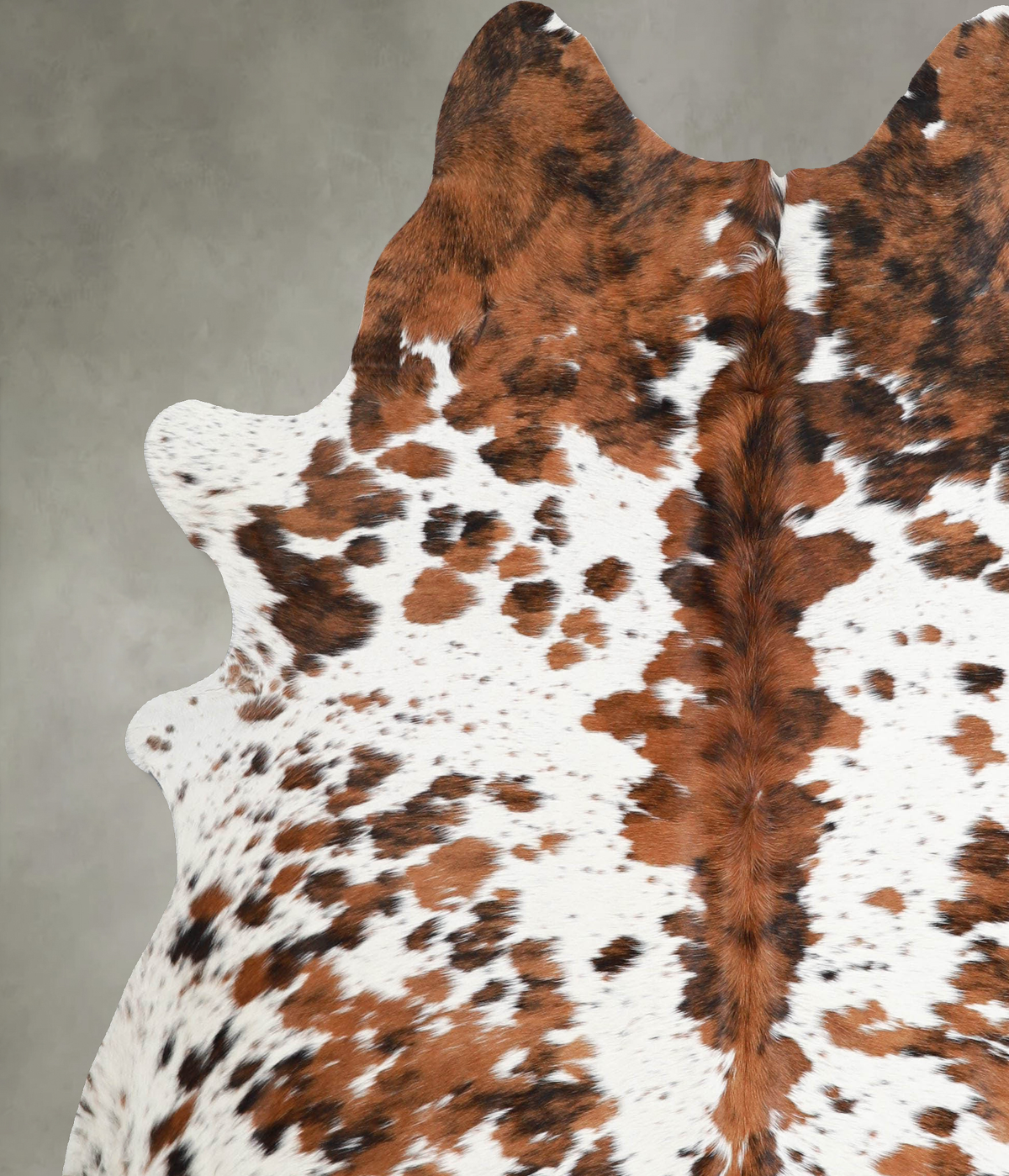 Tricolor X-Large Brazilian Cowhide Rug 7'1"H x 6'1"W #A55382 by Hudson Hides