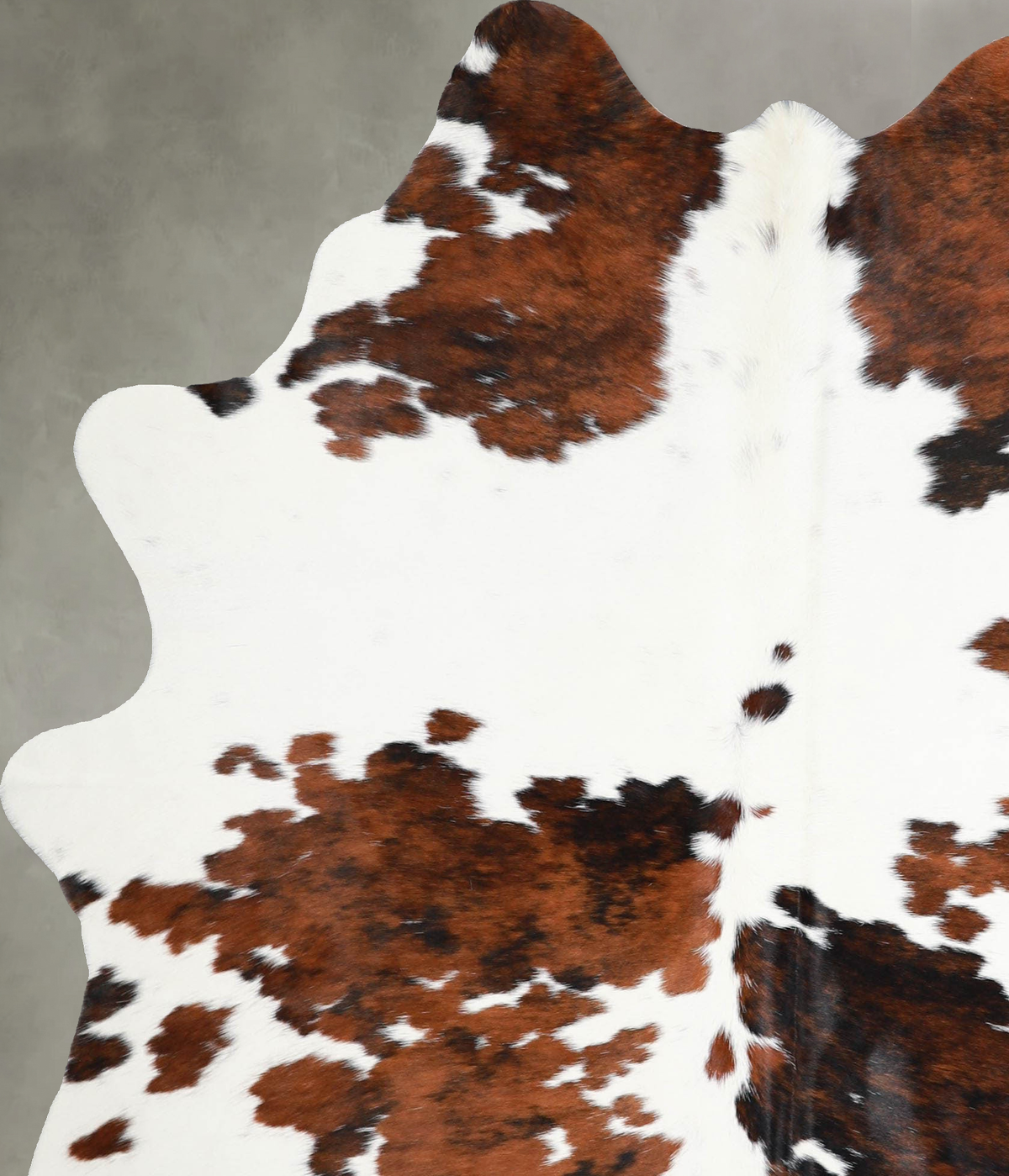 Tricolor Large Brazilian Cowhide Rug 6'9"H x 5'2"W #A55383 by Hudson Hides
