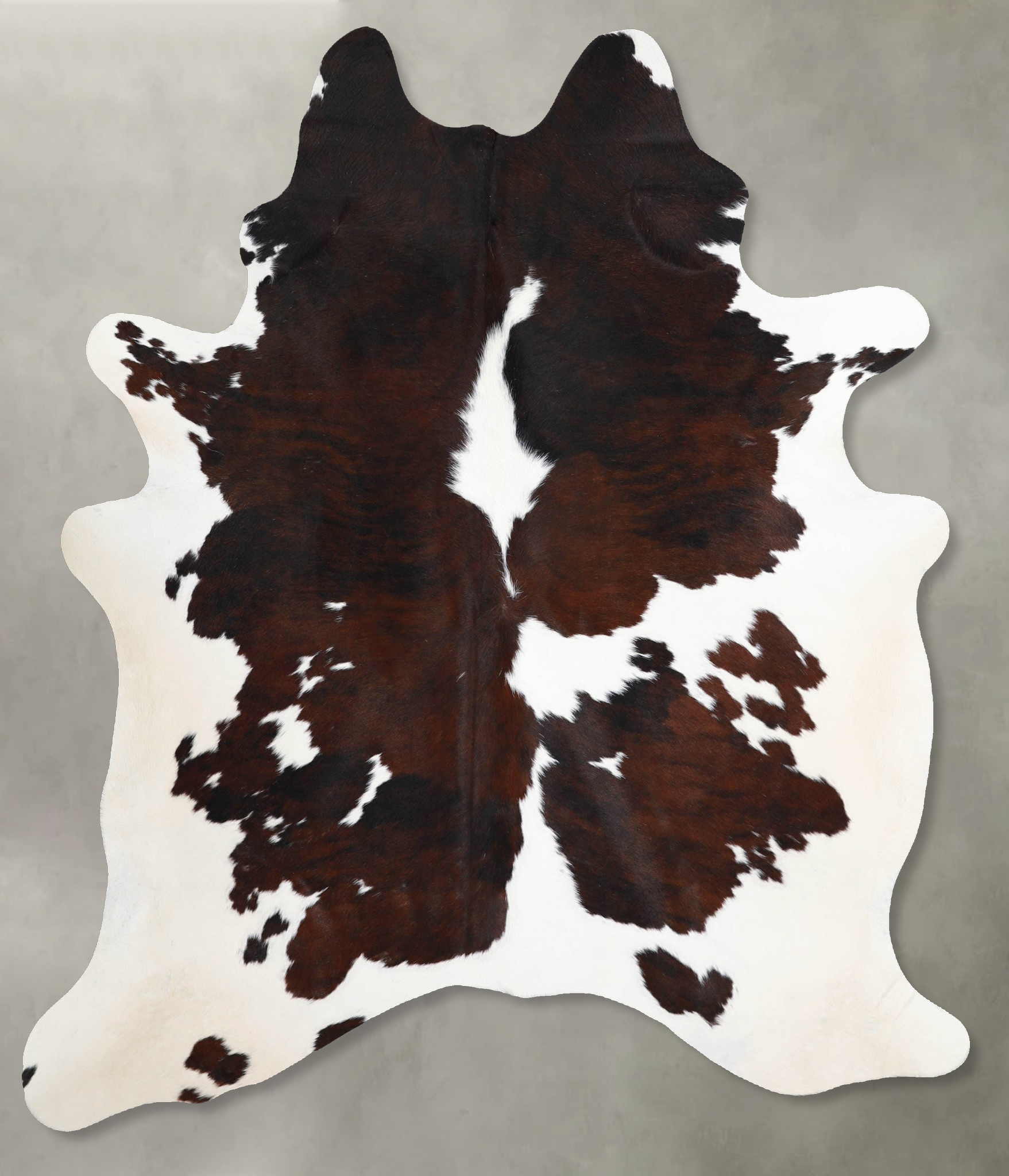 Tricolor Cowhide Rug #A55384