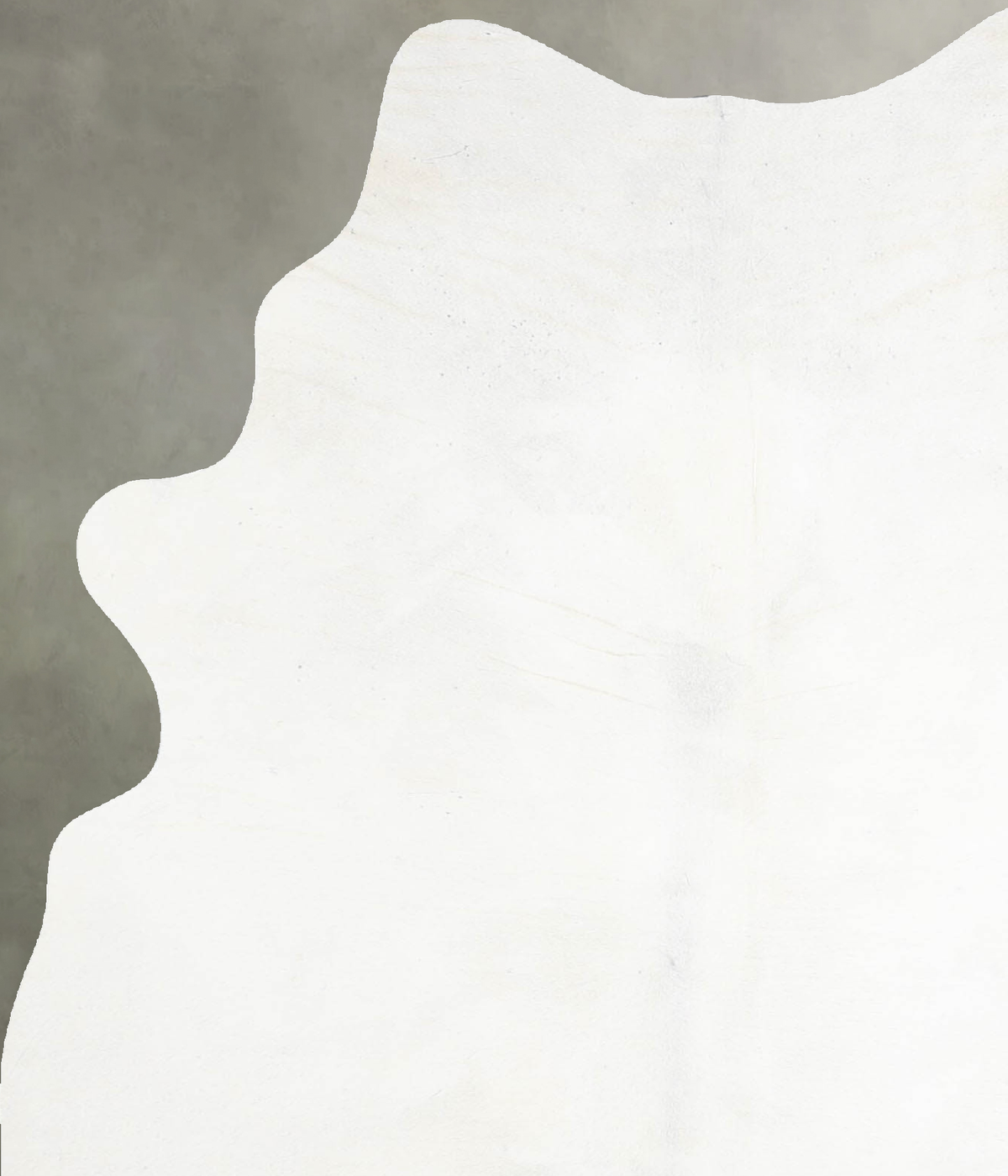 Light Grey Medium Brazilian Cowhide Rug 6'0"H x 4'2"W #A55388 by Hudson Hides