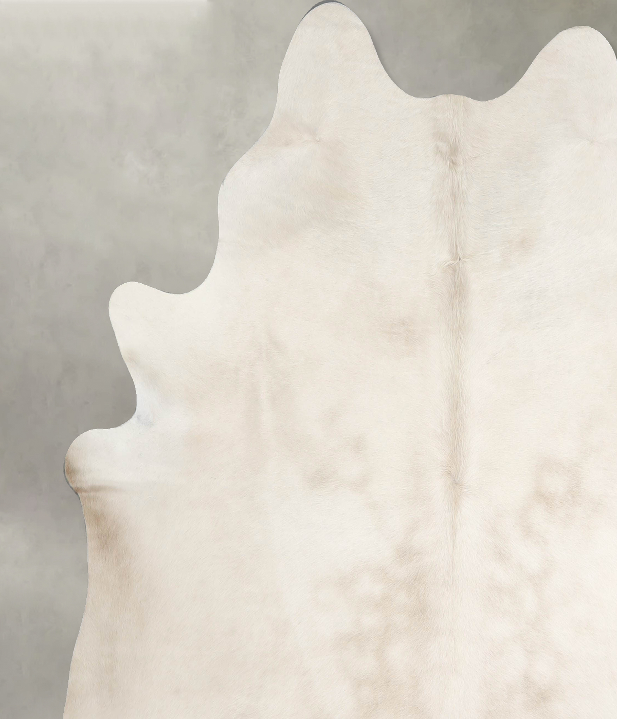 Champagne XX-Large Brazilian Cowhide Rug 7'4"H x 6'11"W #A55395 by Hudson Hides