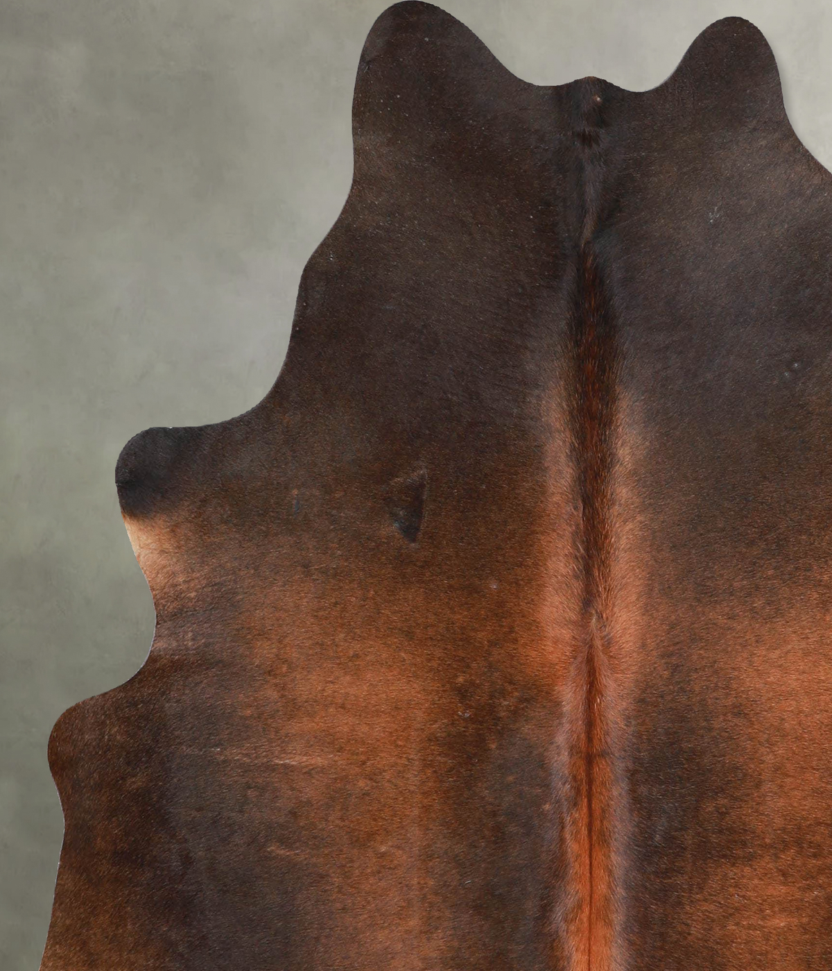 Warm Caramel Large Brazilian Cowhide Rug 5'11"H x 5'3"W #A55397 by Hudson Hides