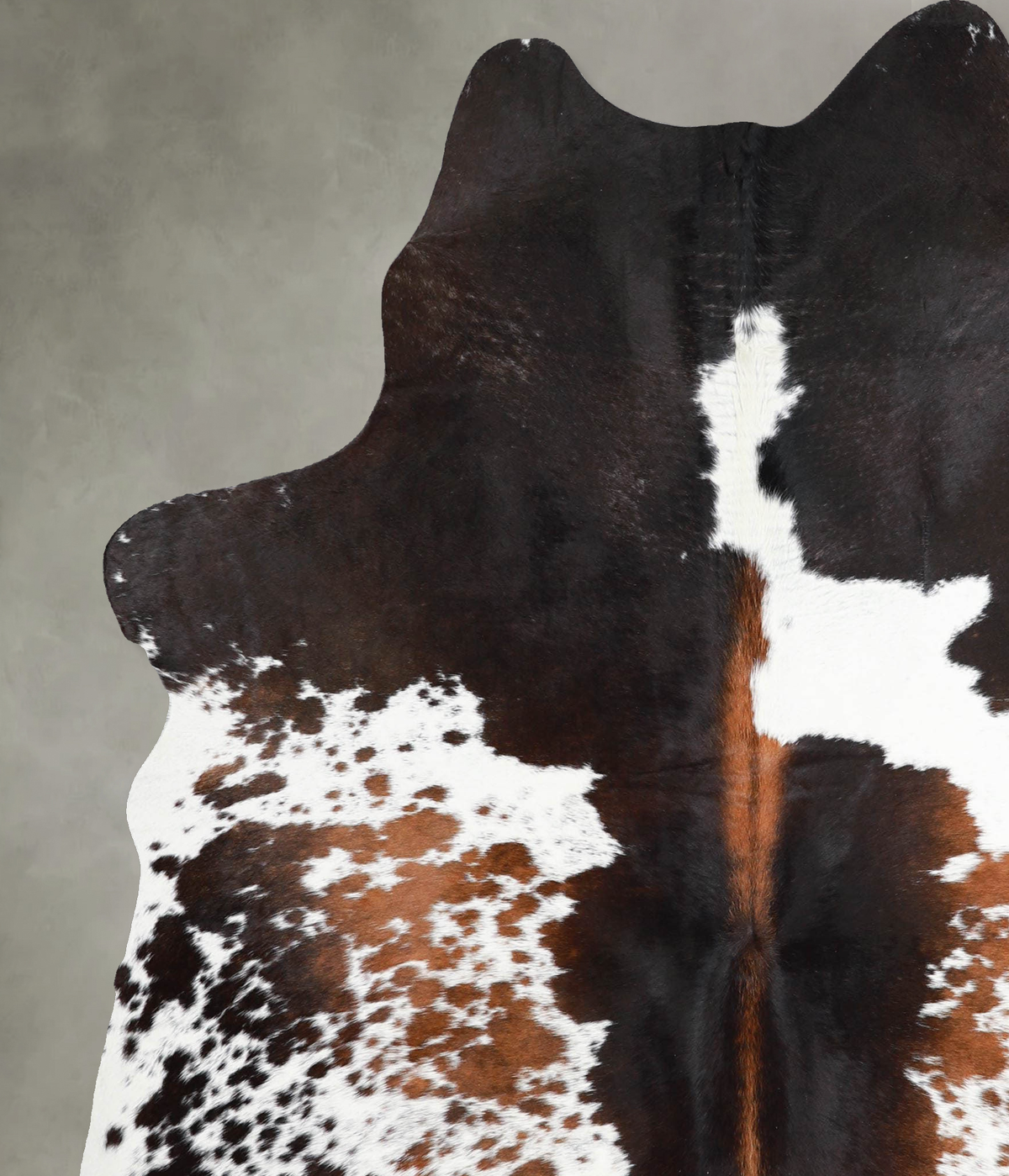 Chocolate and White Large Brazilian Cowhide Rug 6'11"H x 5'5"W #A55399 by Hudson Hides